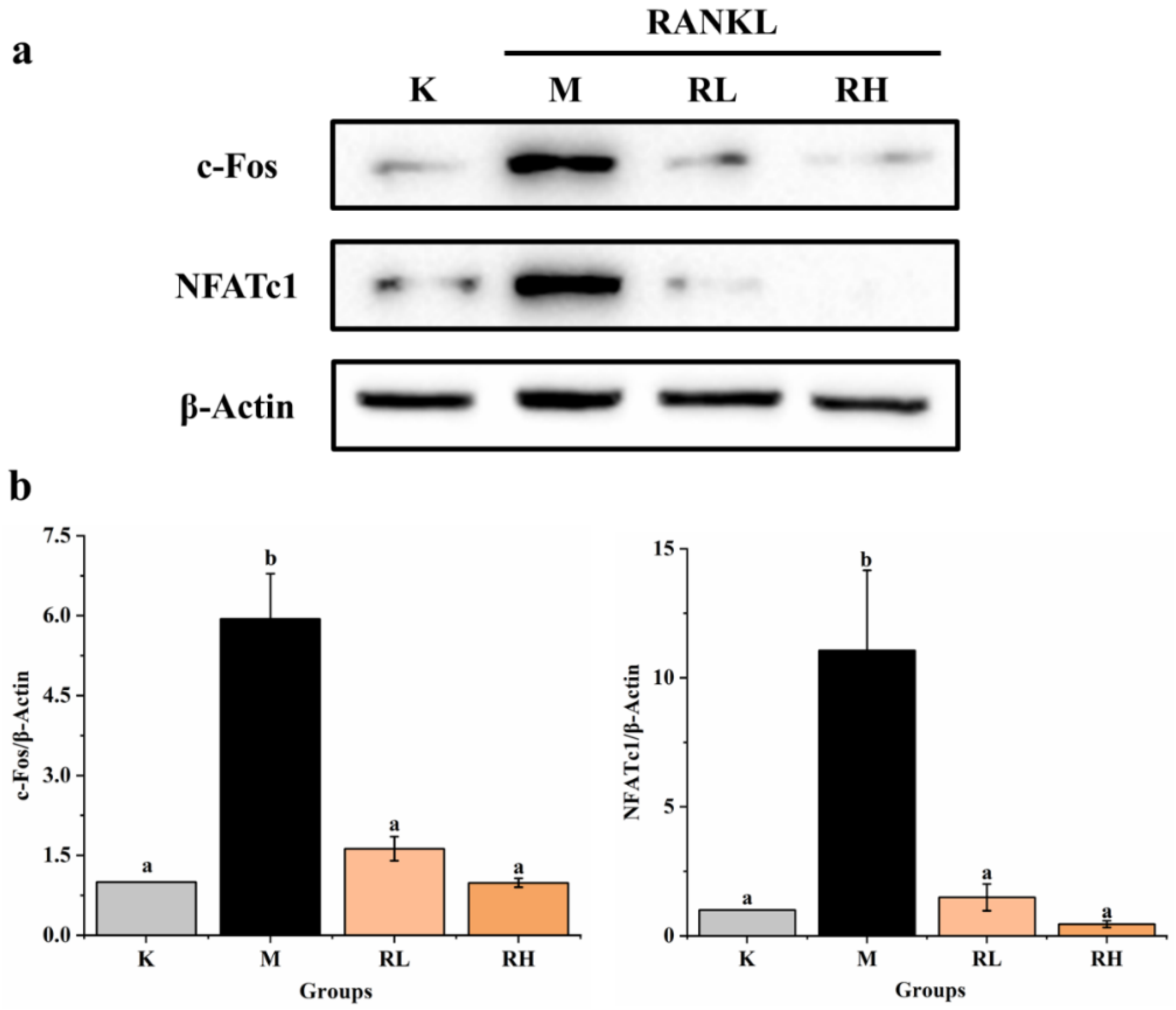 Nutrients 14 01020 g009
