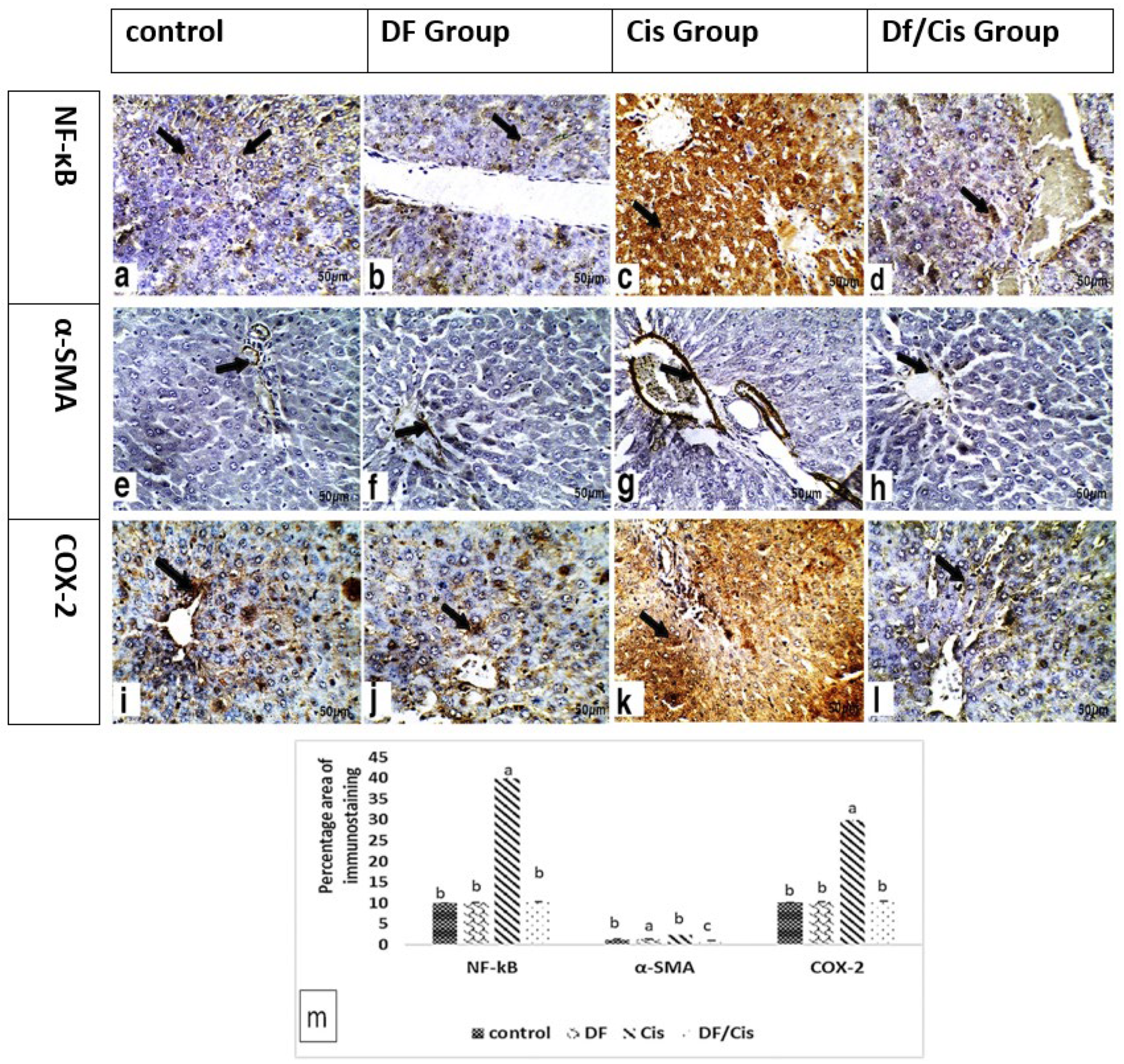 Nutrients 14 01025 g003