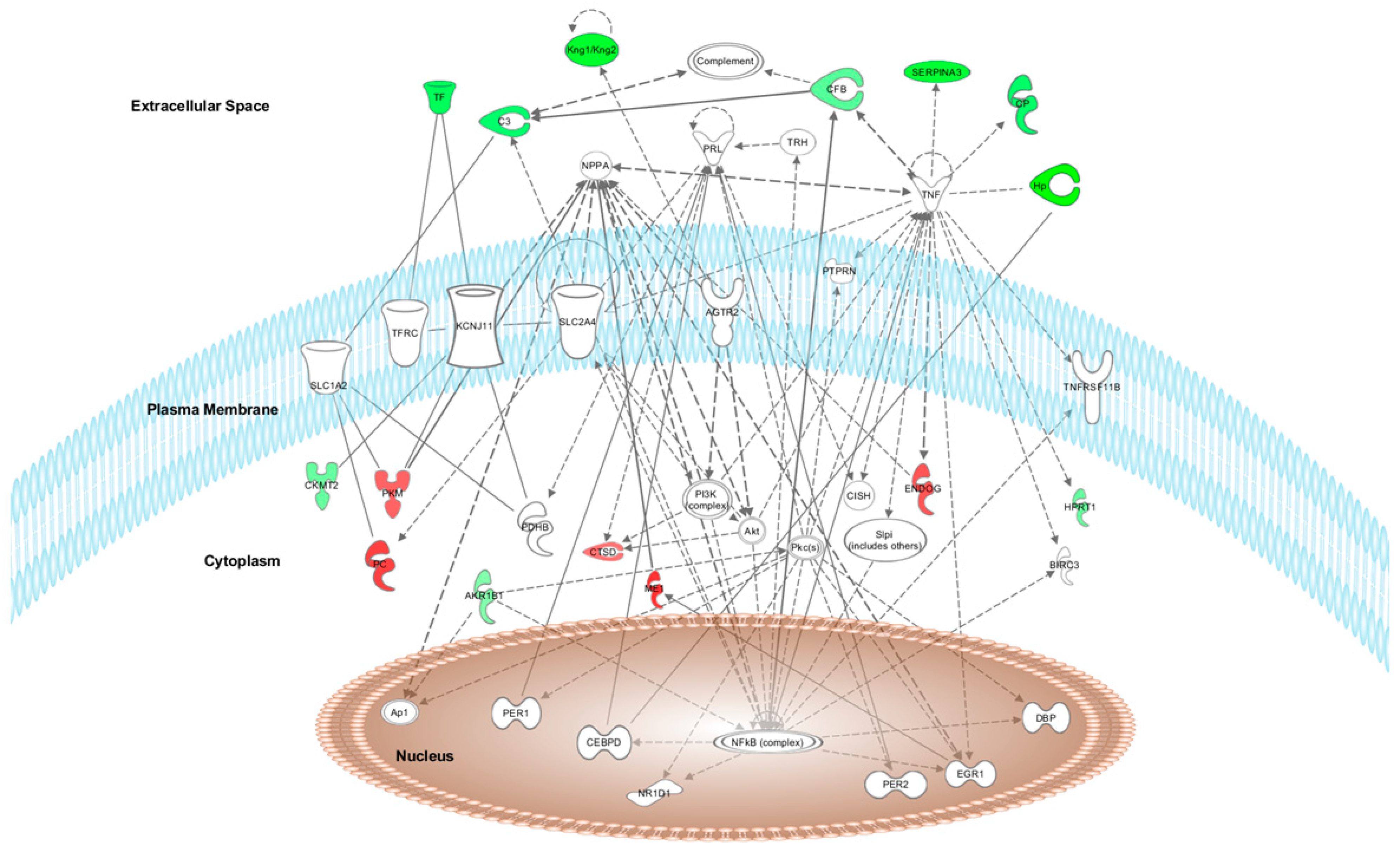 Nutrients 14 01047 g002