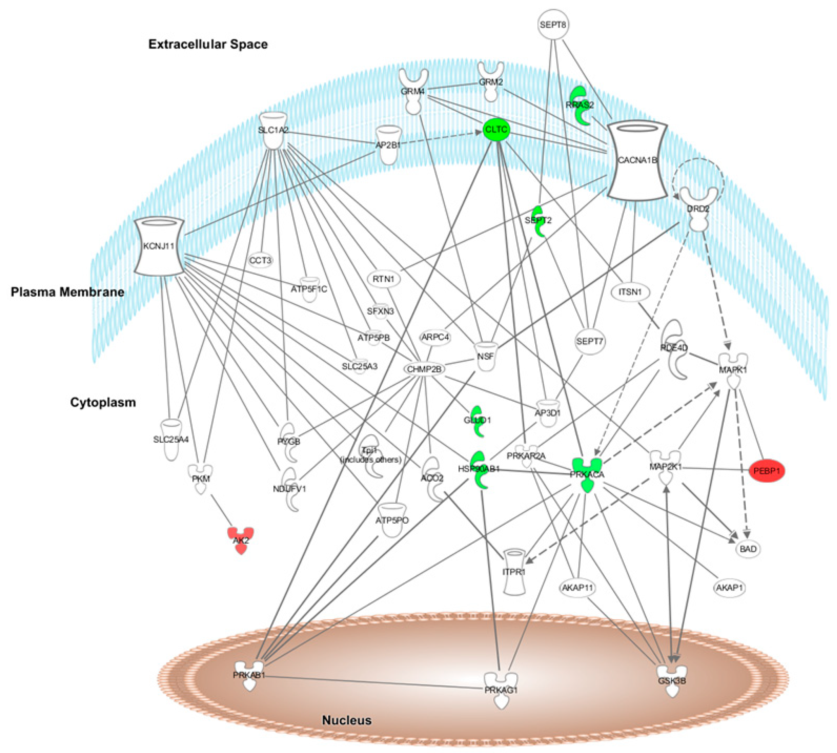 Nutrients 14 01047 g003