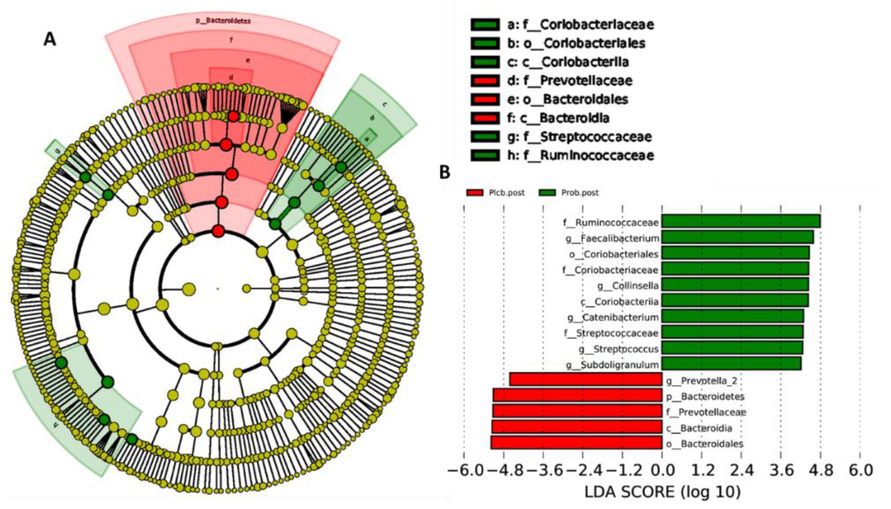 Nutrients 14 01049 g008 Nutrients 14 01049 g008