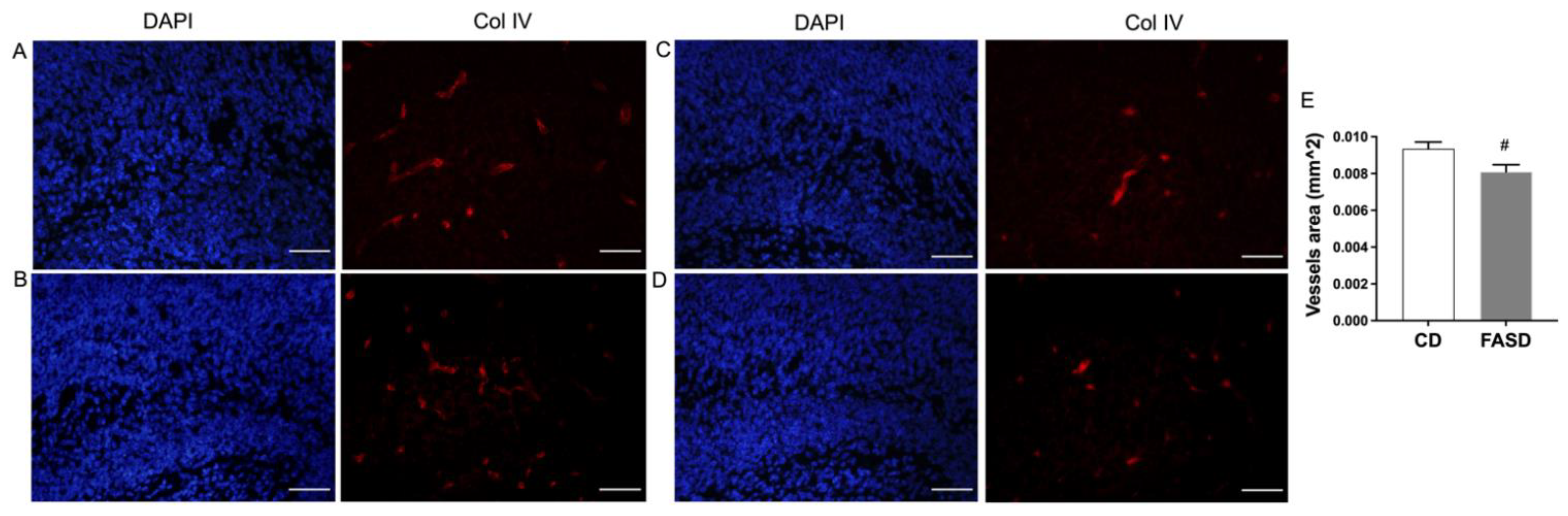 Nutrients 14 01051 g008