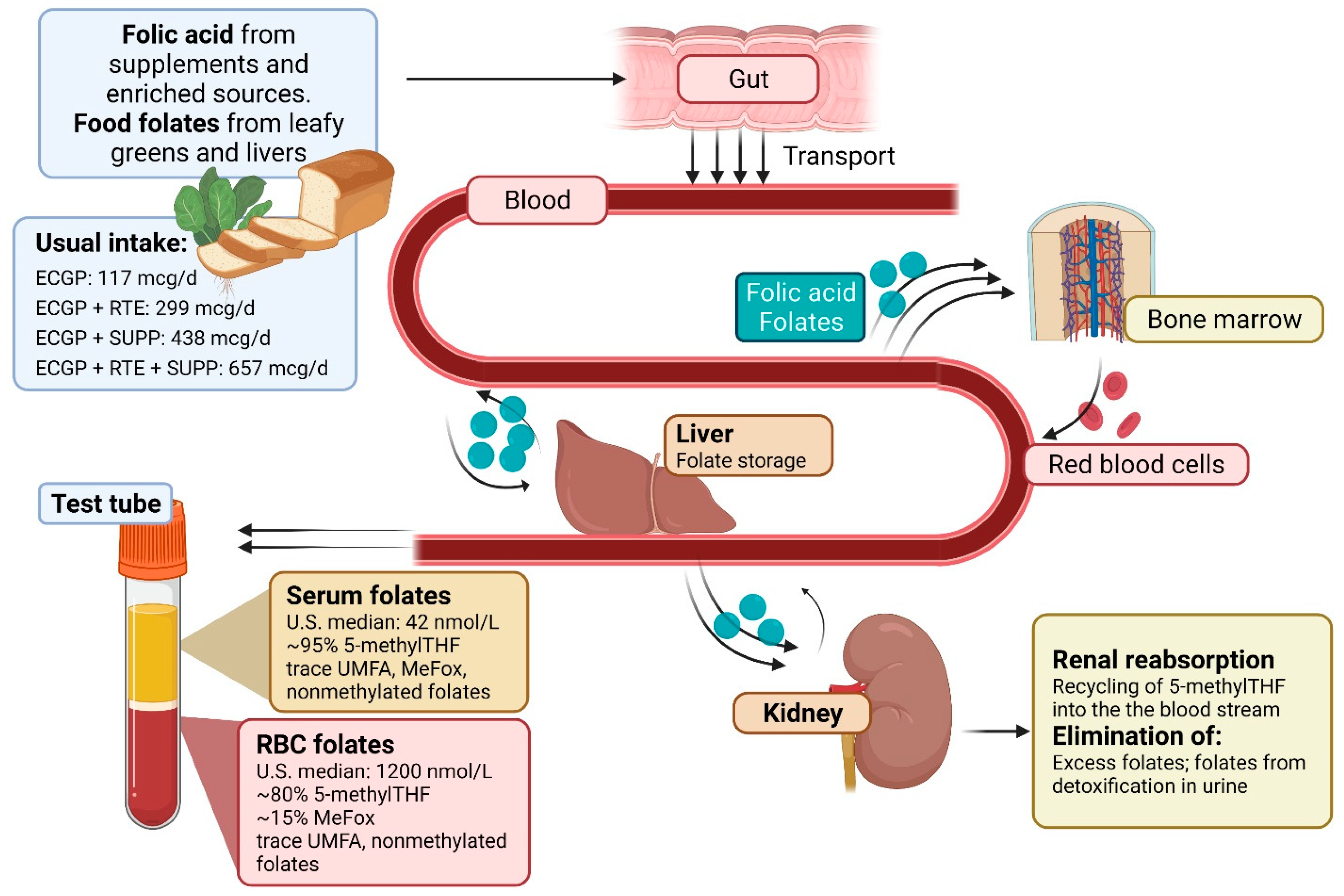 Nutrients 14 01054 g003