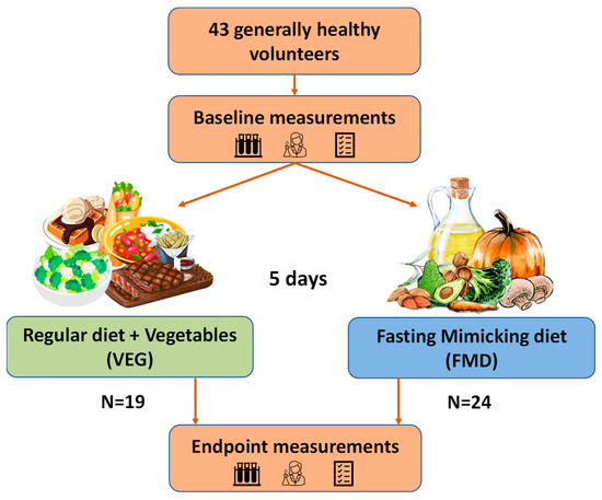 The Role of Nutrition in Weight Management