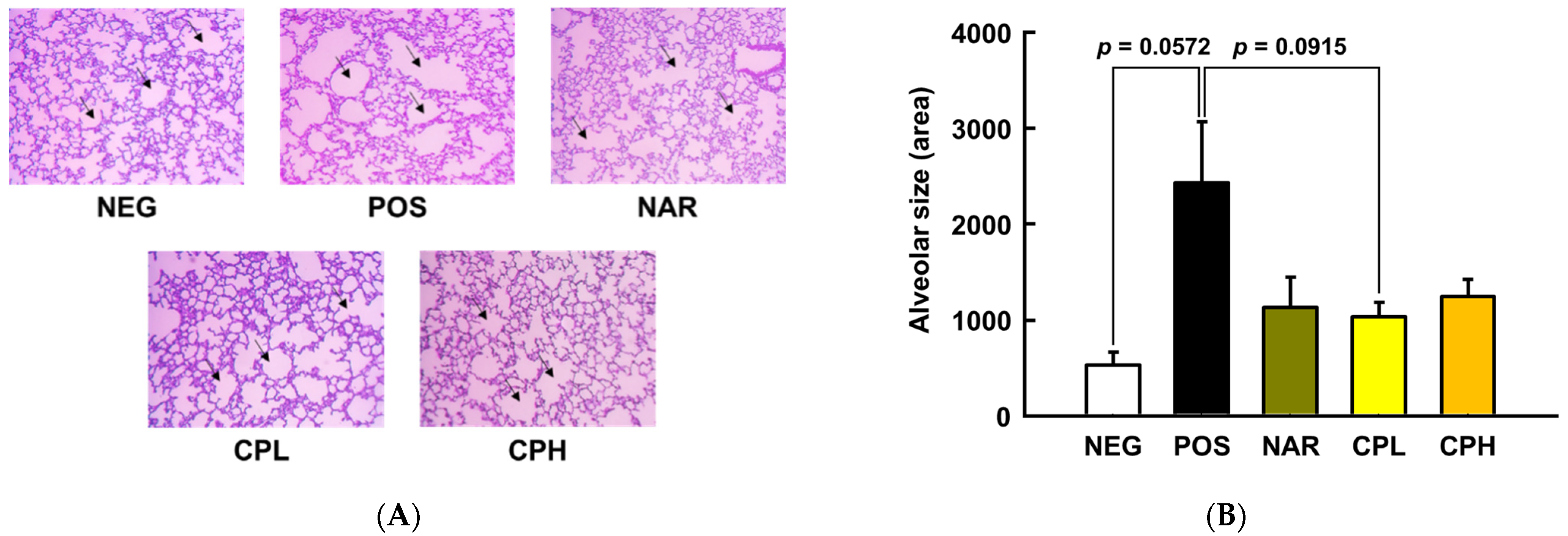 Nutrients 14 01101 g003