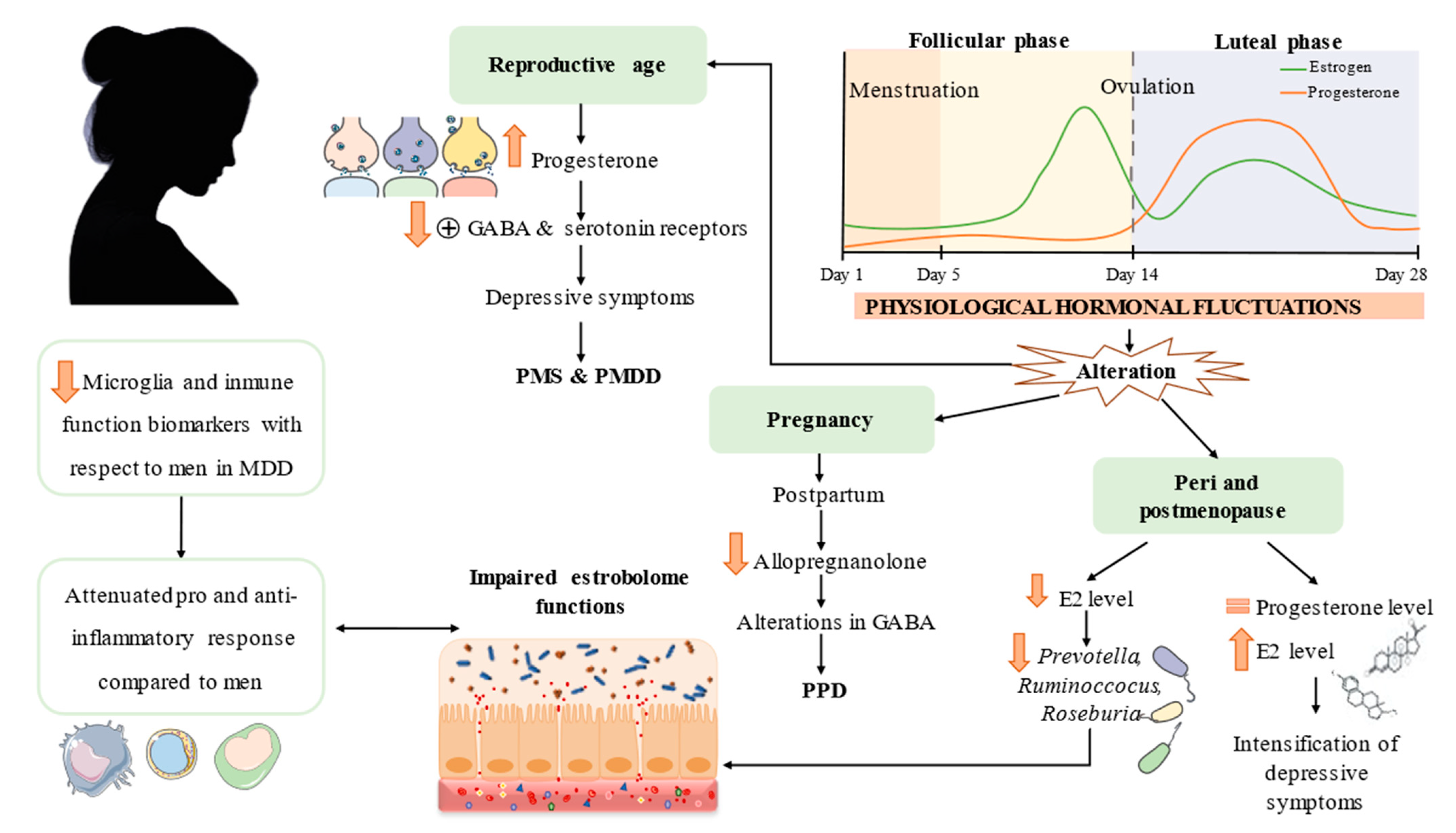 Nutrients 14 01107 g002