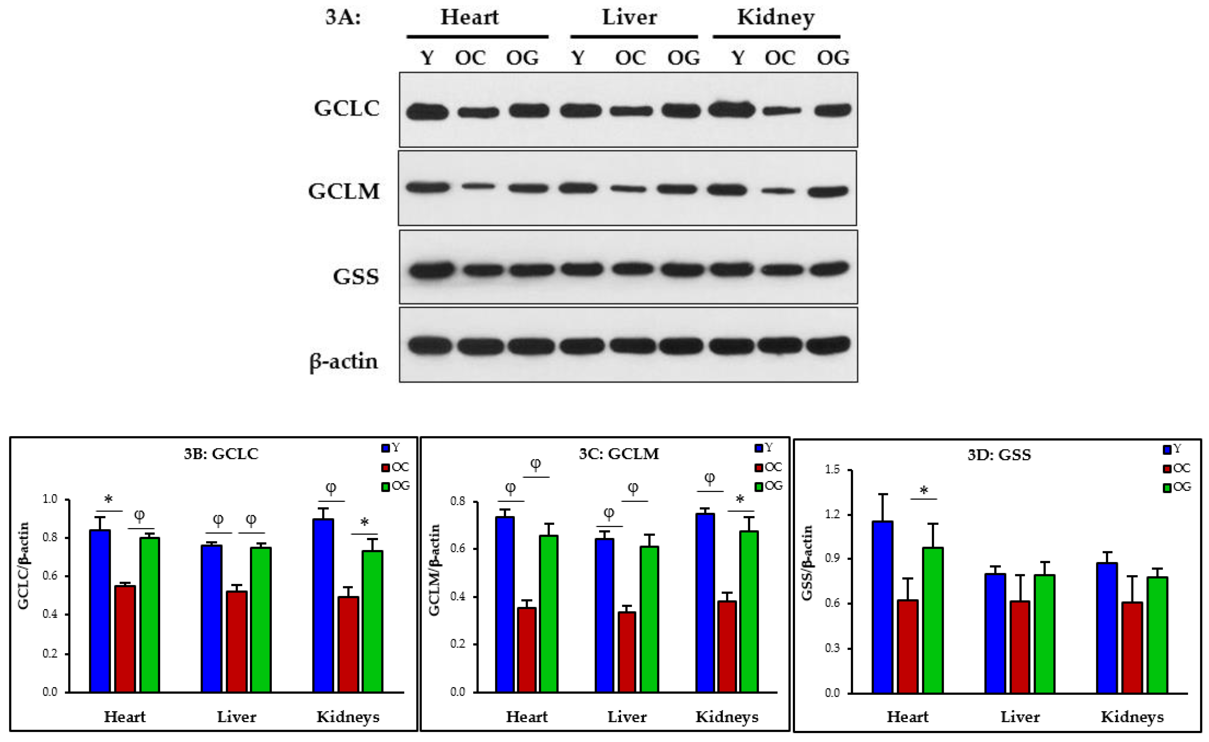 Nutrients 14 01114 g003