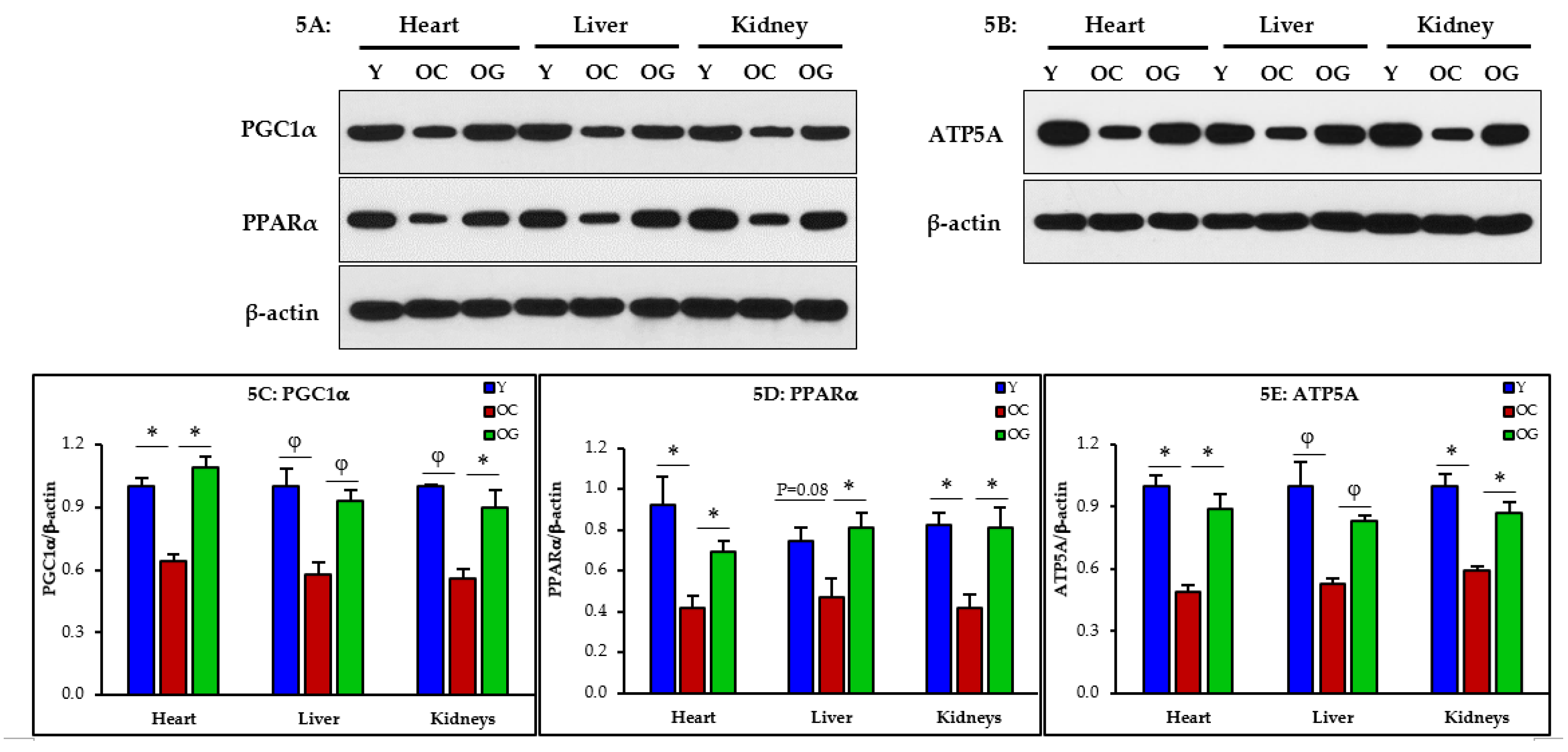 Nutrients 14 01114 g005