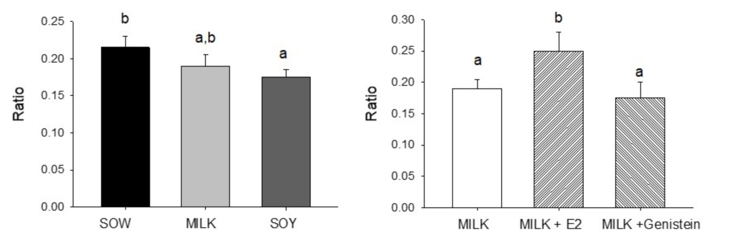 Nutrients 14 01126 g001 Nutrients 14 01126 g001