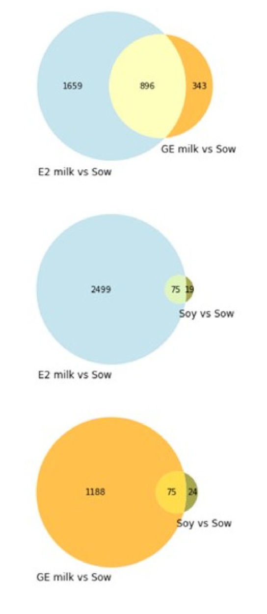 Nutrients 14 01126 g007 Nutrients 14 01126 g007