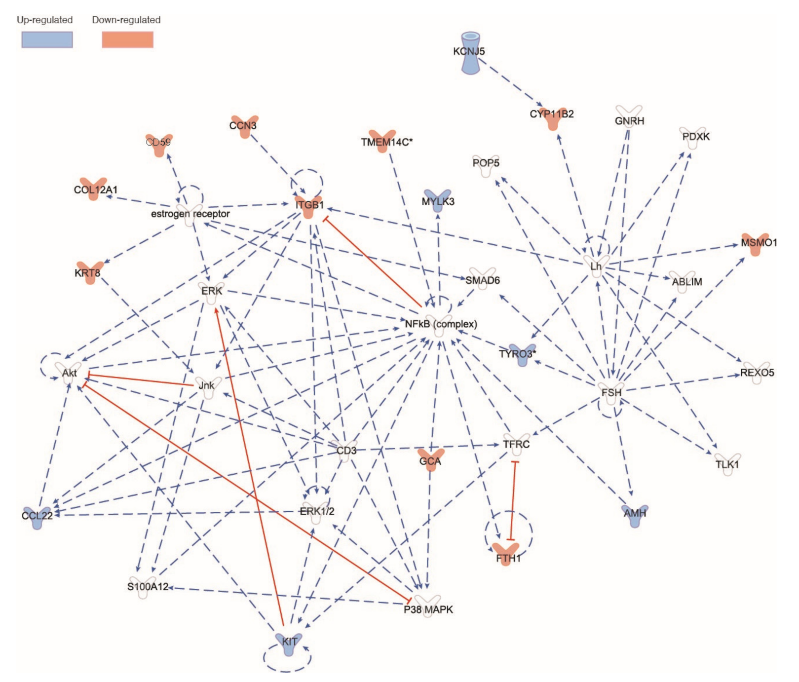 Nutrients 14 01126 g008 Nutrients 14 01126 g008