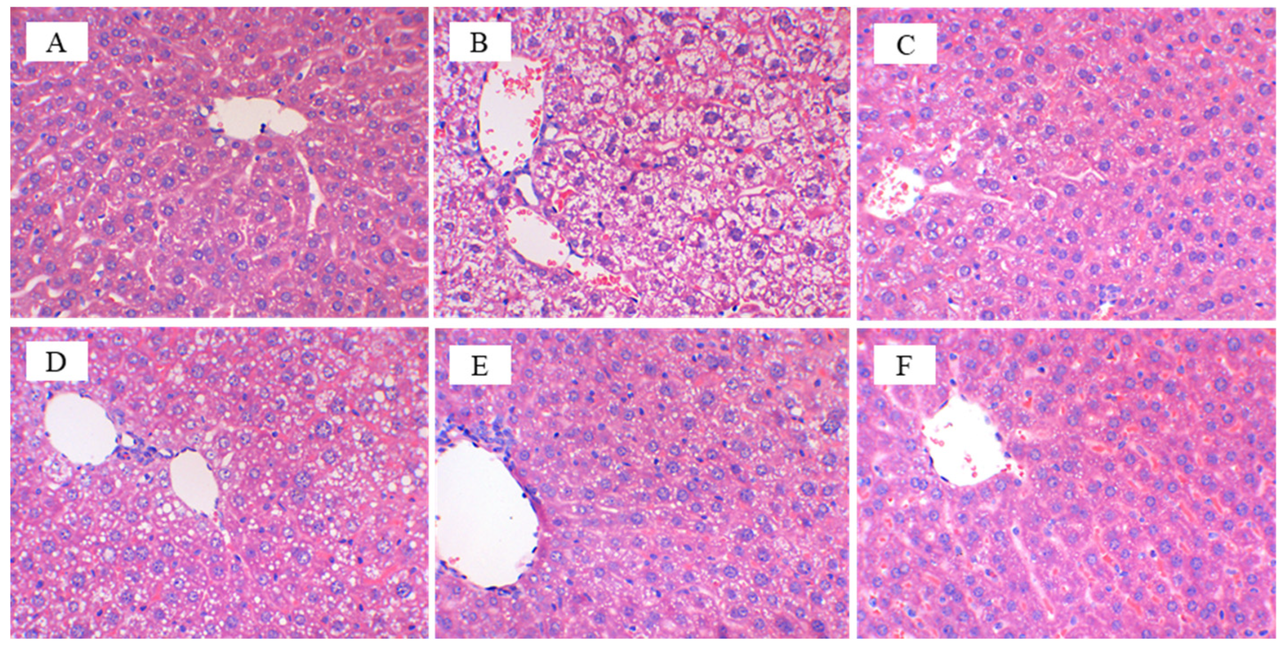 Nutrients 14 01128 g003
