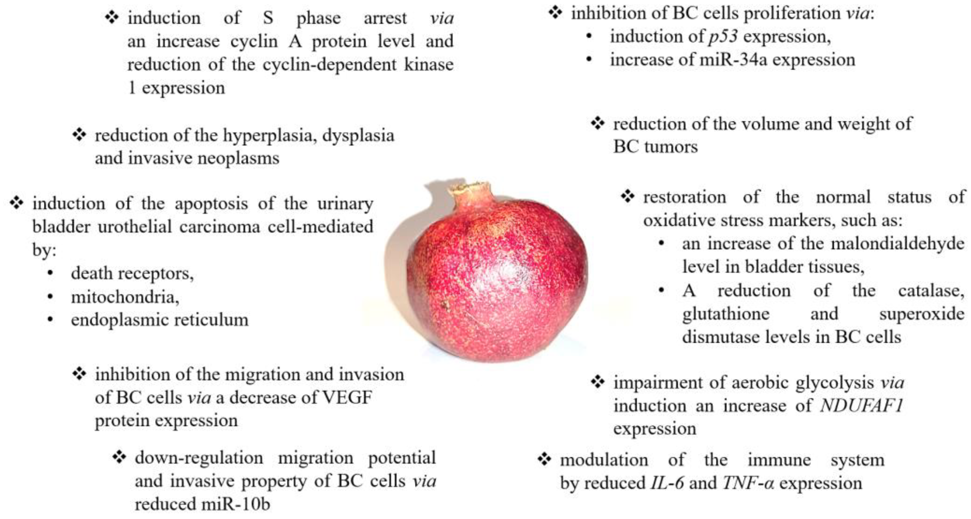 Nutrients | Free Full-Text | Clinical Potential of Fruit in 