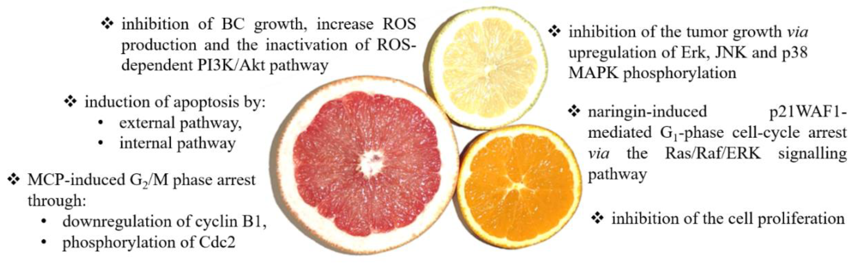 Nutrients 14 01132 g003 Nutrients 14 01132 g003