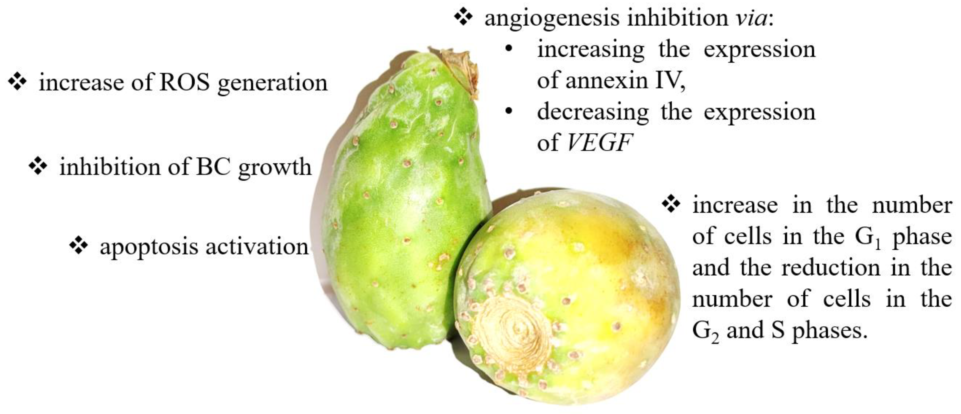 Clinical Potential of Fruit in Bladder Cancer Prevention and