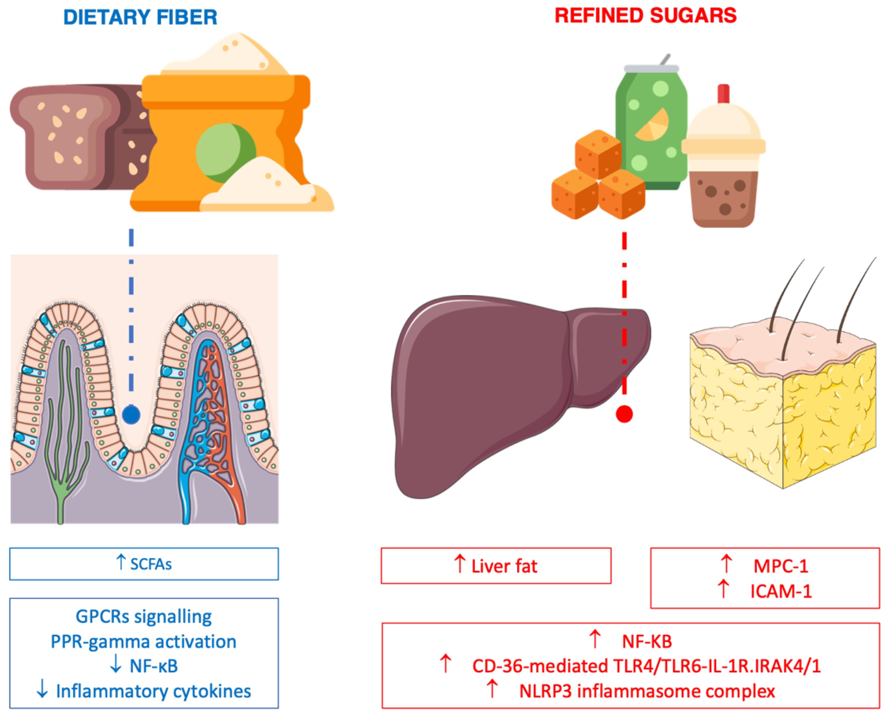 Nutrients Free Full Text Anti Inflammatory Nutrients and