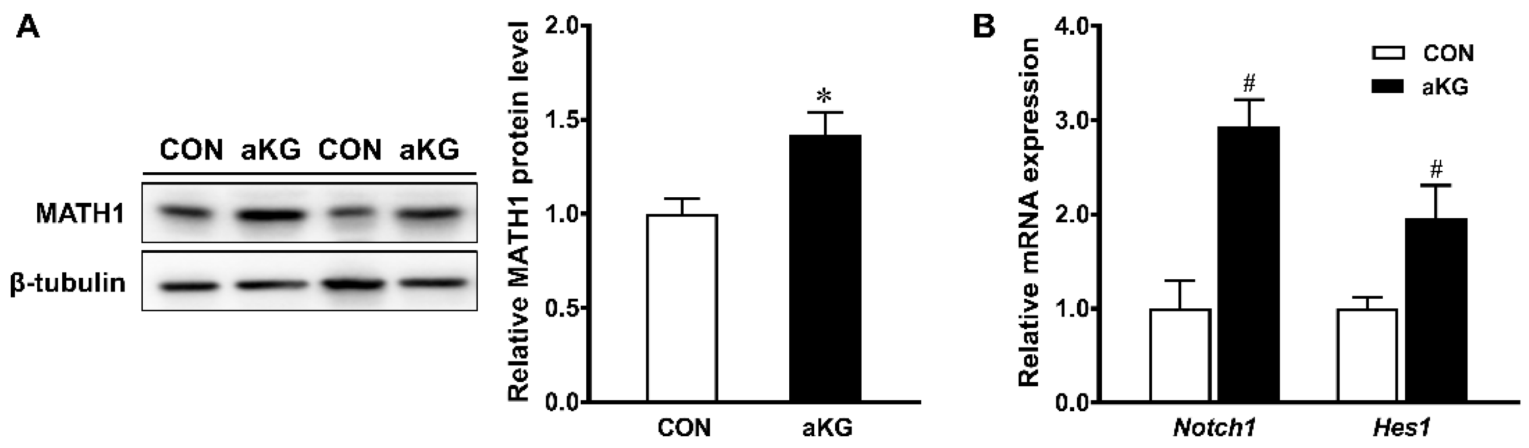 Nutrients 14 01148 g005 550