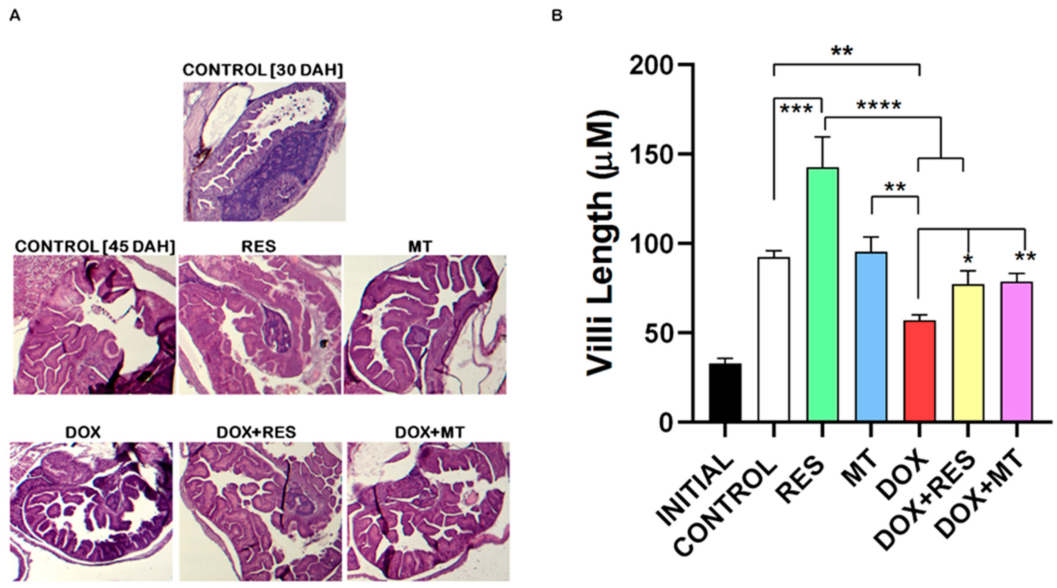 Nutrients 14 01154 g002 Nutrients 14 01154 g002
