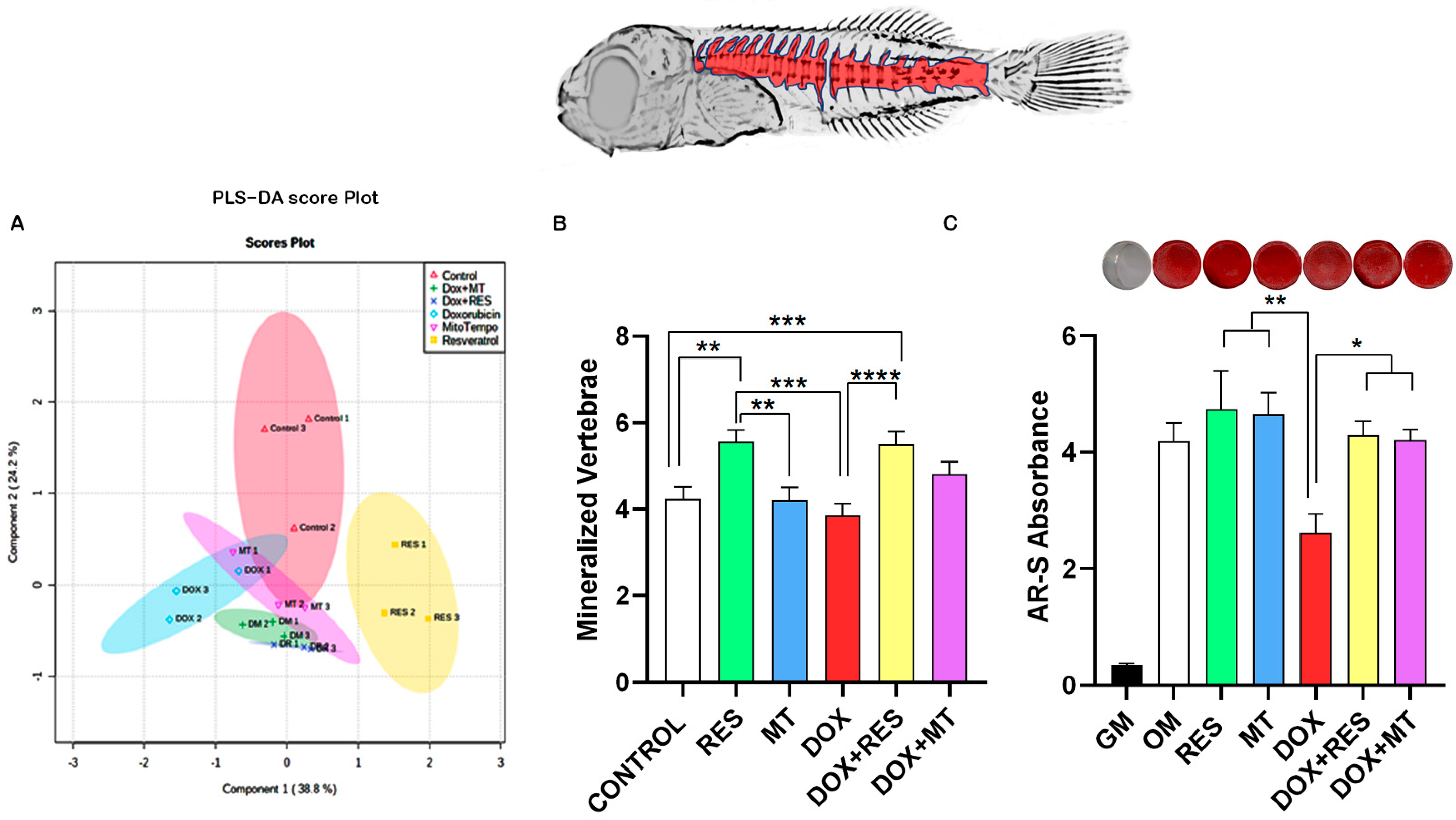 Nutrients 14 01154 g005 Nutrients 14 01154 g005