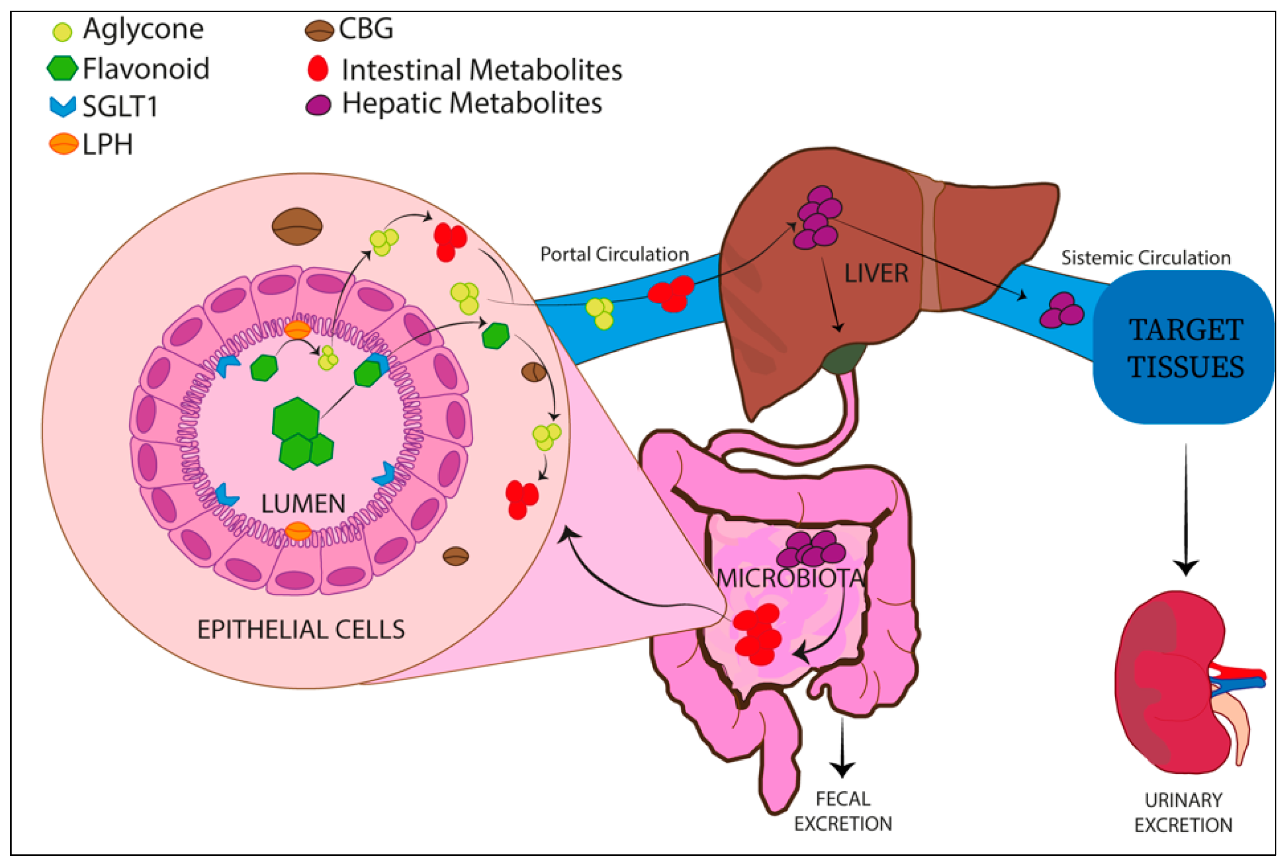 Nutrients 14 01155 g002 Nutrients 14 01155 g002