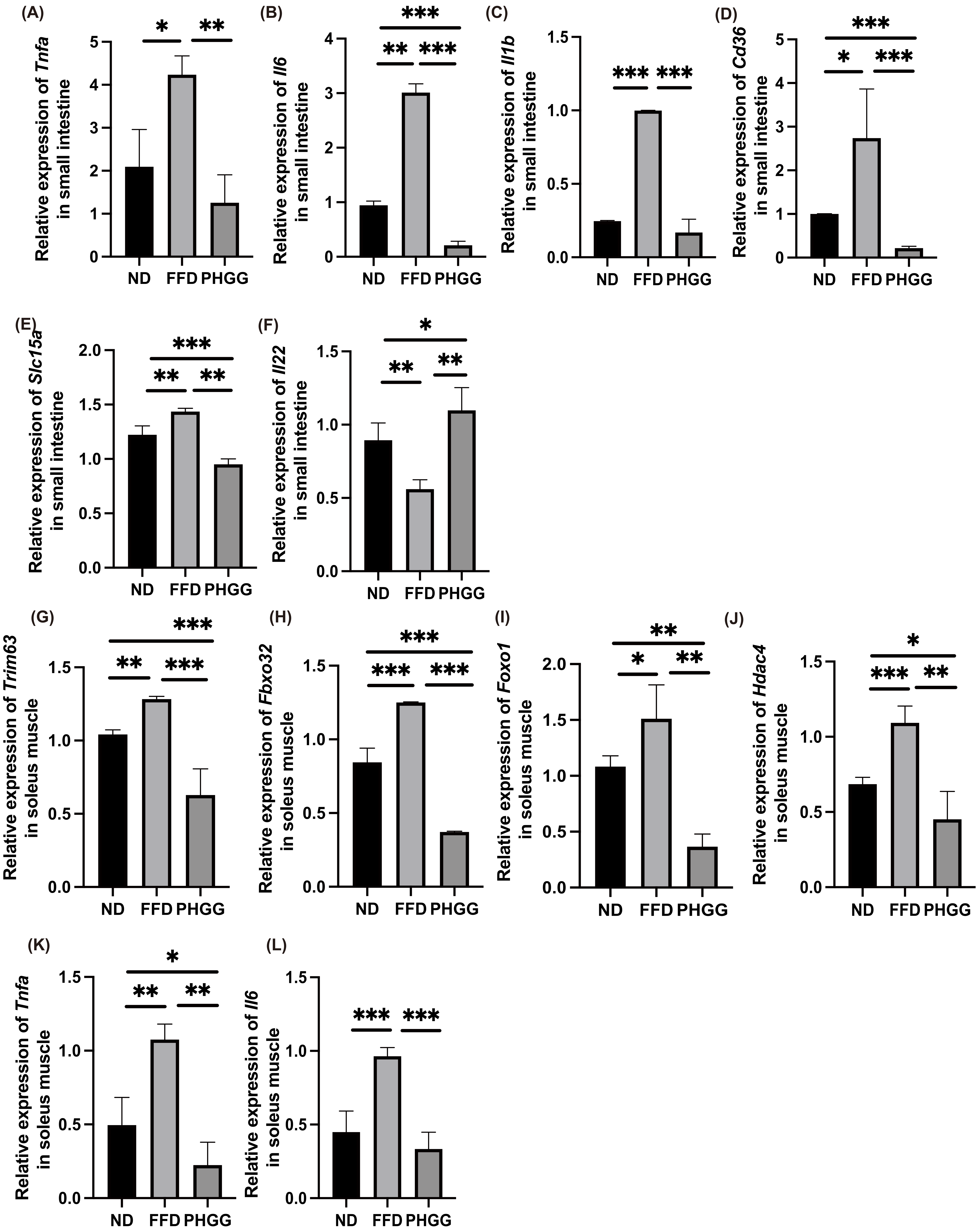 Nutrients 14 01157 g005 Nutrients 14 01157 g005