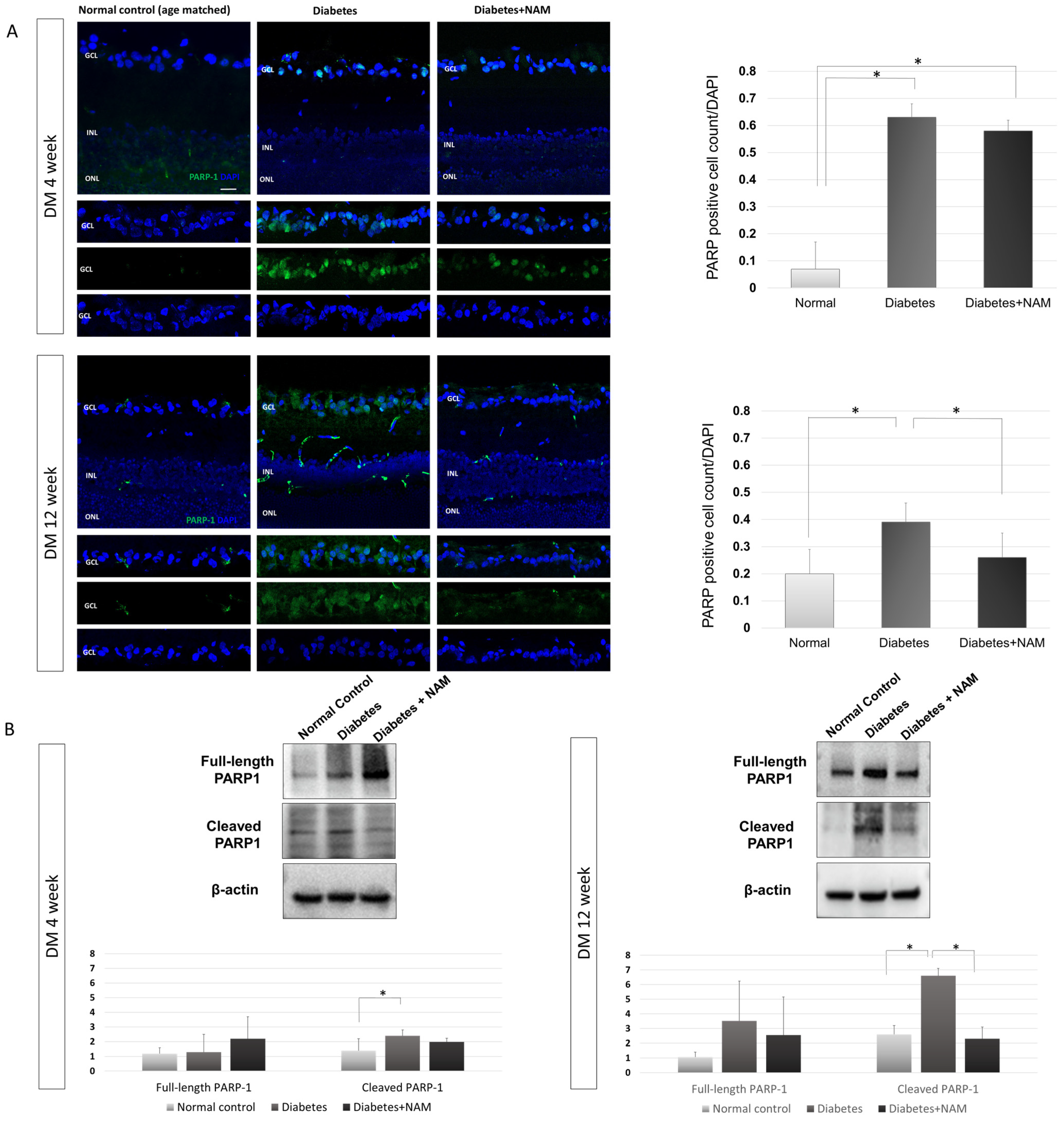 Nutrients 14 01162 g007 550