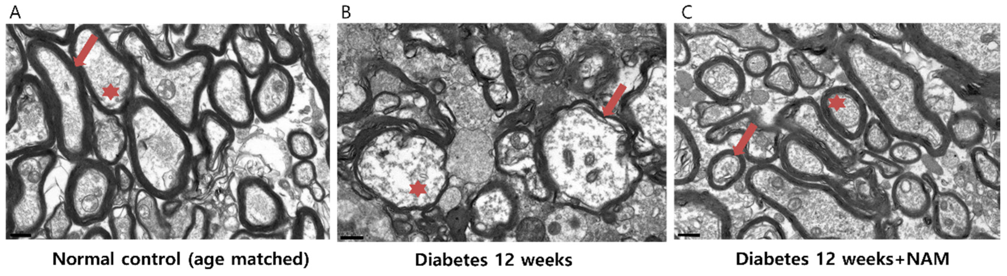 Nutrients 14 01162 g009 550