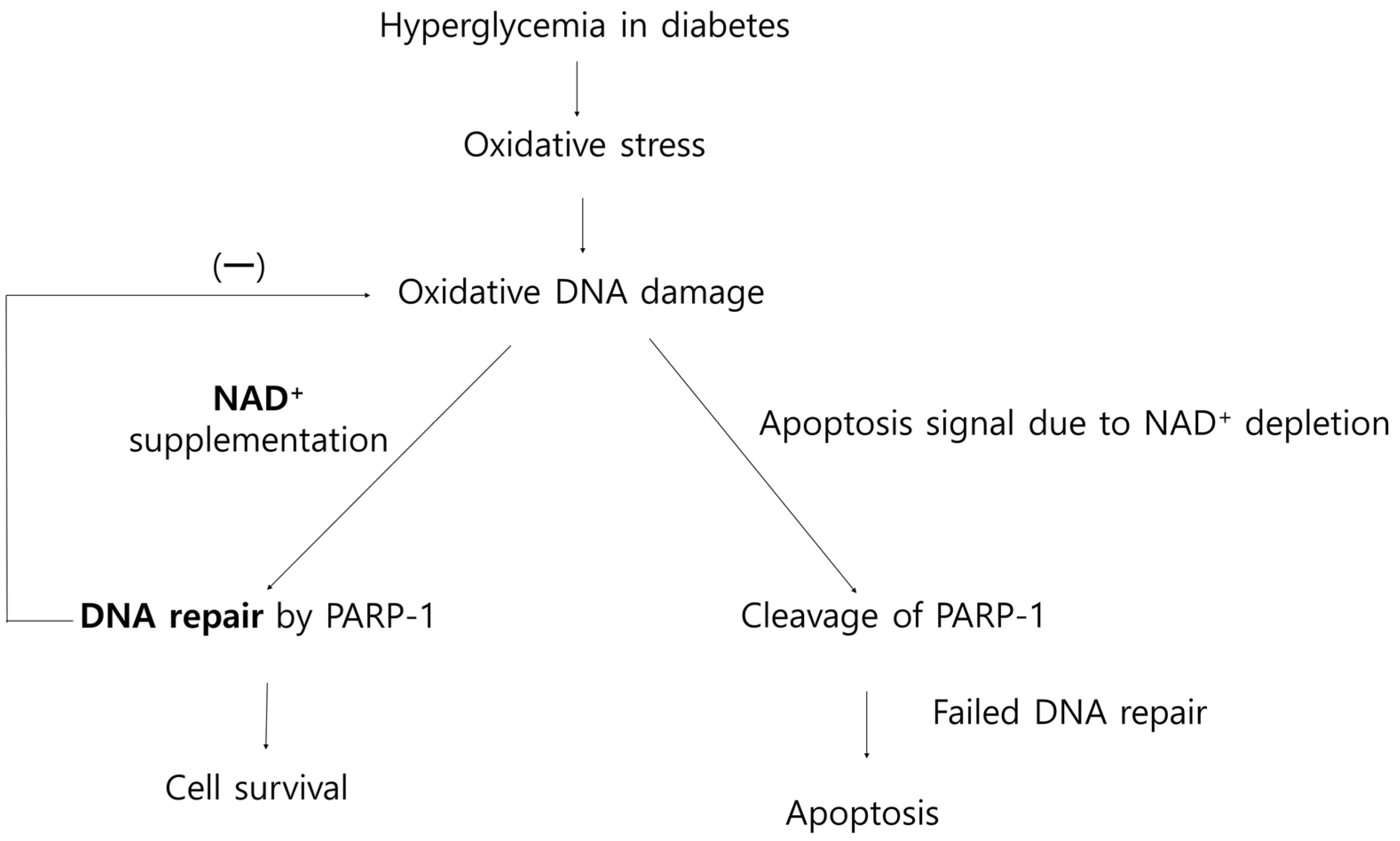 Nutrients 14 01162 g010 550