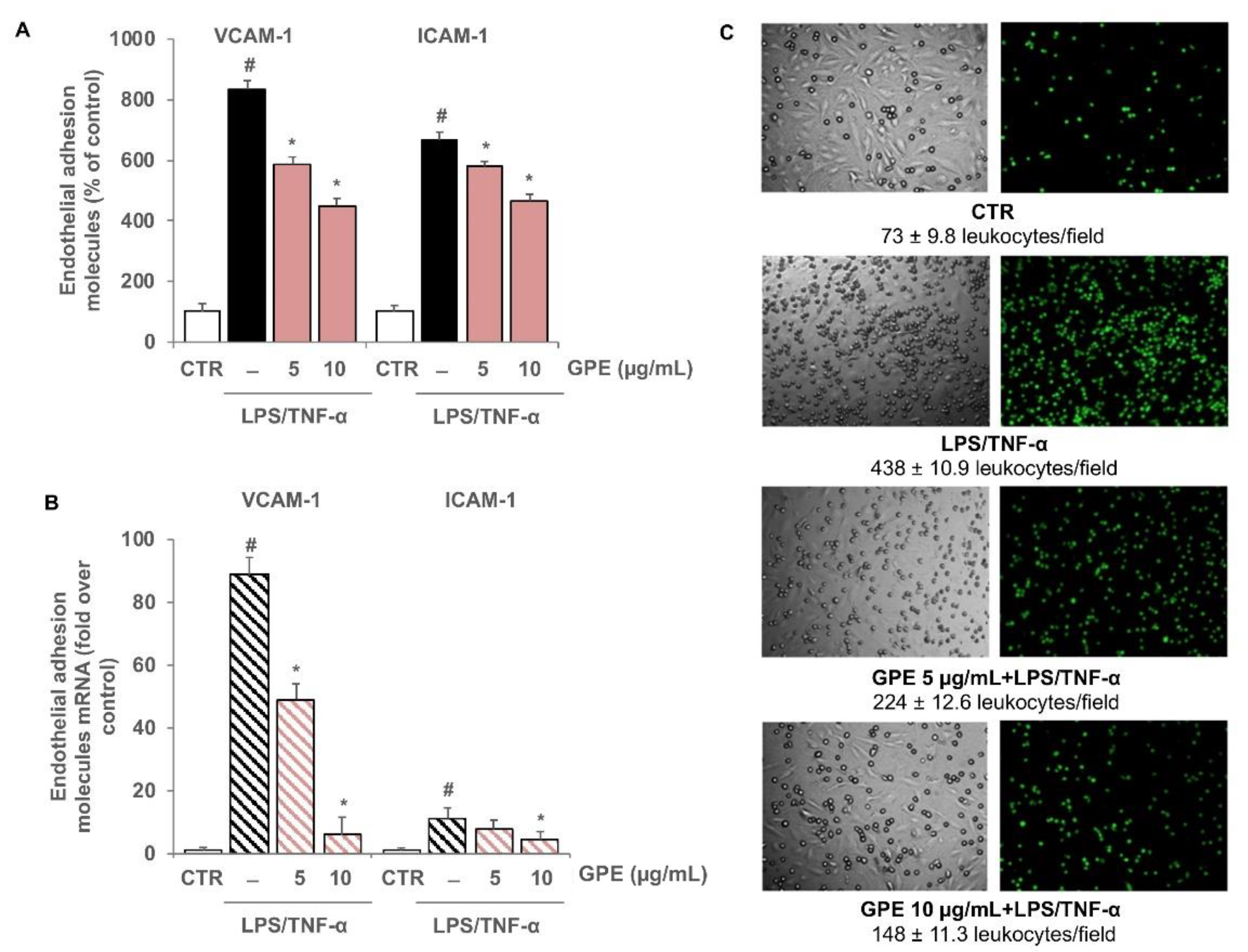 Nutrients 14 01175 g008 Nutrients 14 01175 g008