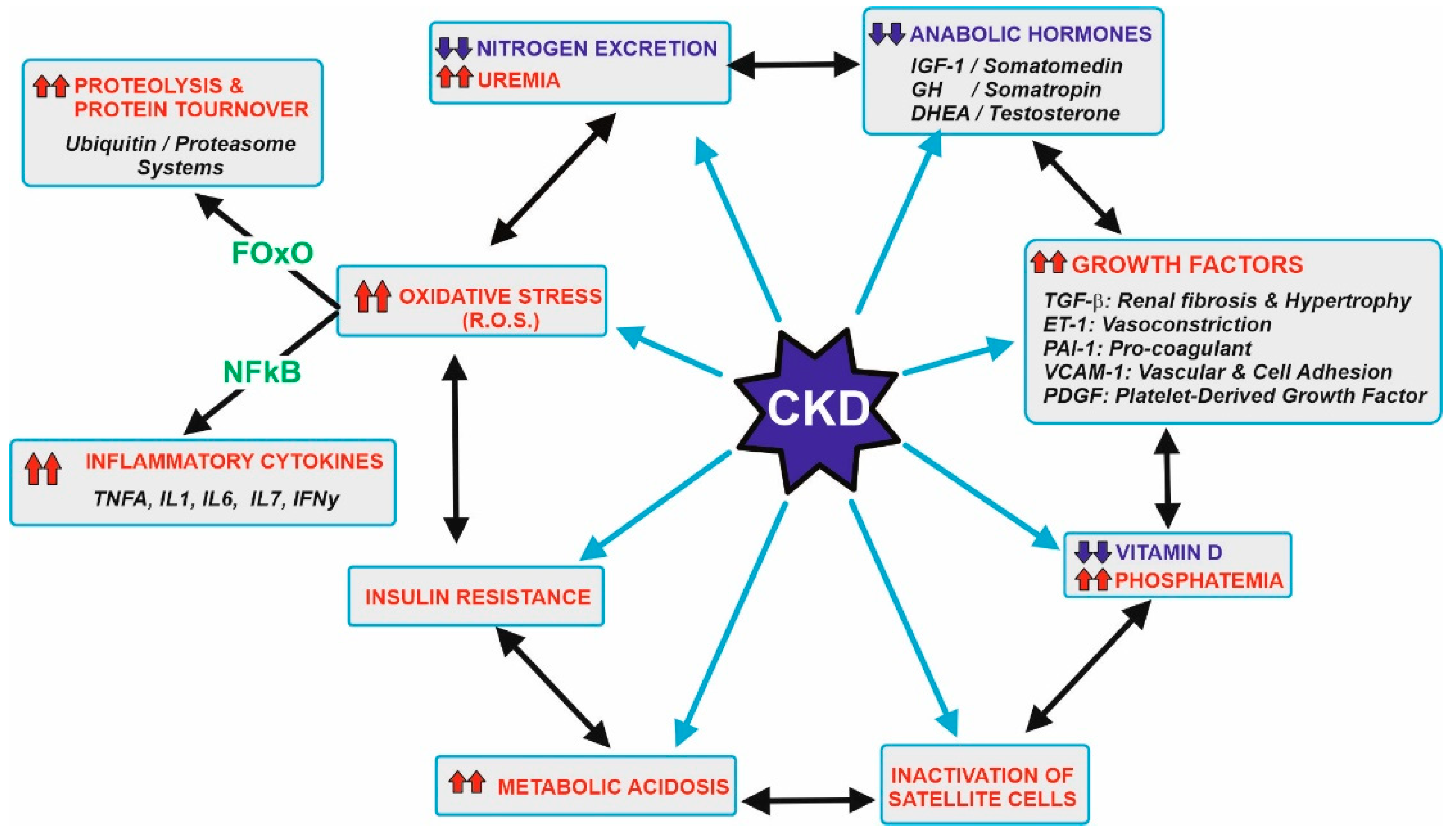 Nutrients 14 01182 g001