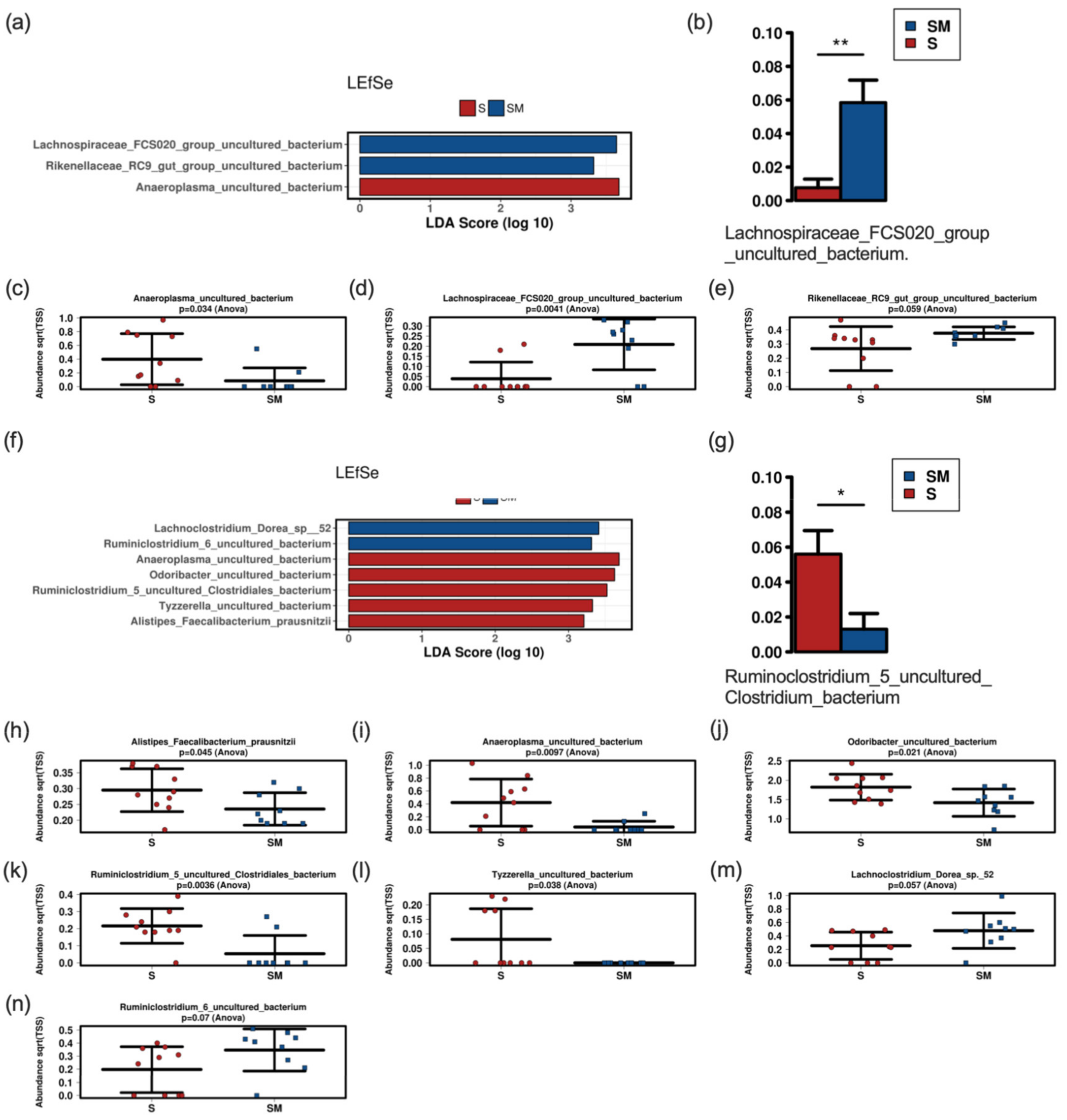 Nutrients 14 01194 g007
