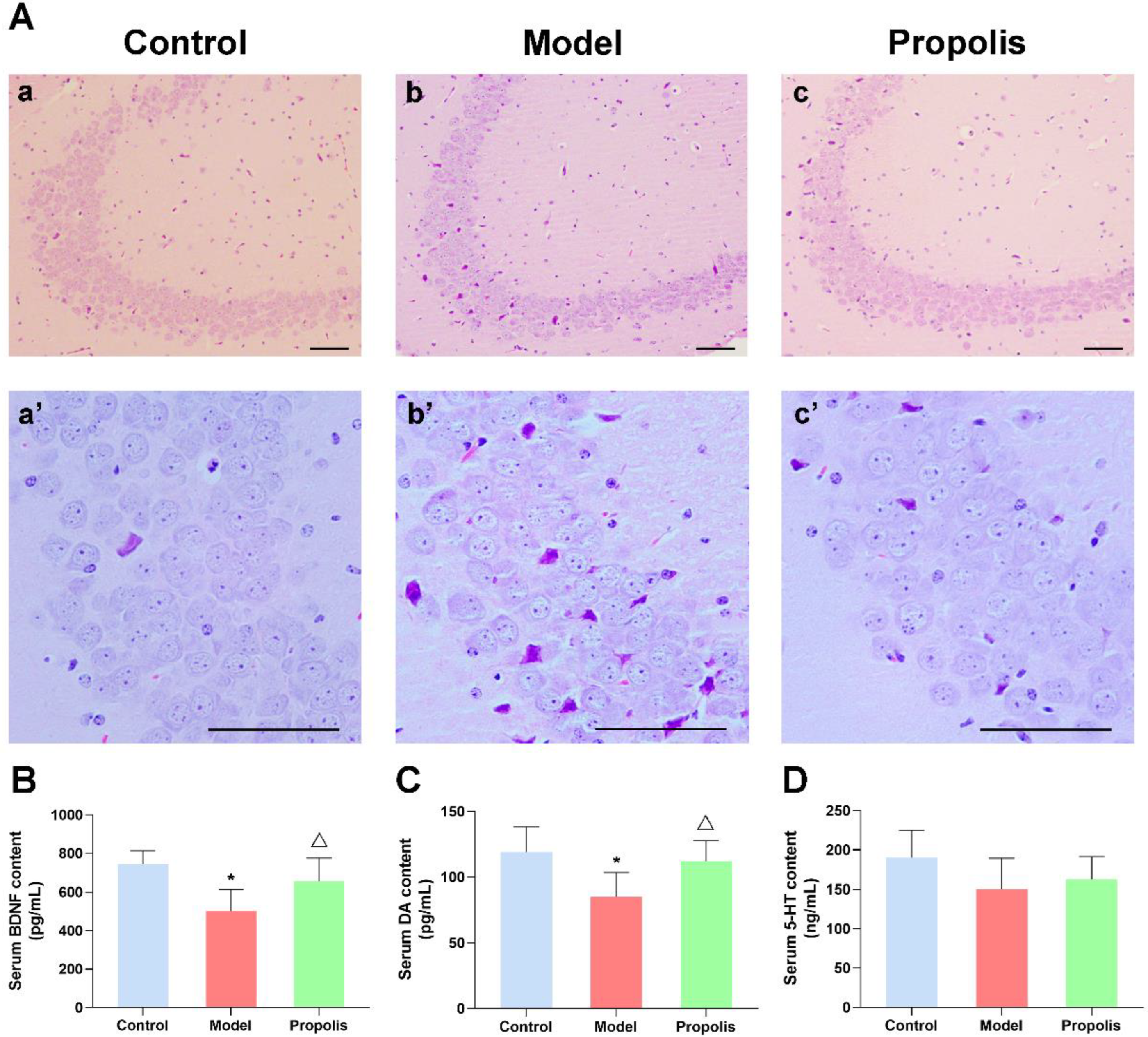 Nutrients 14 01213 g003 550