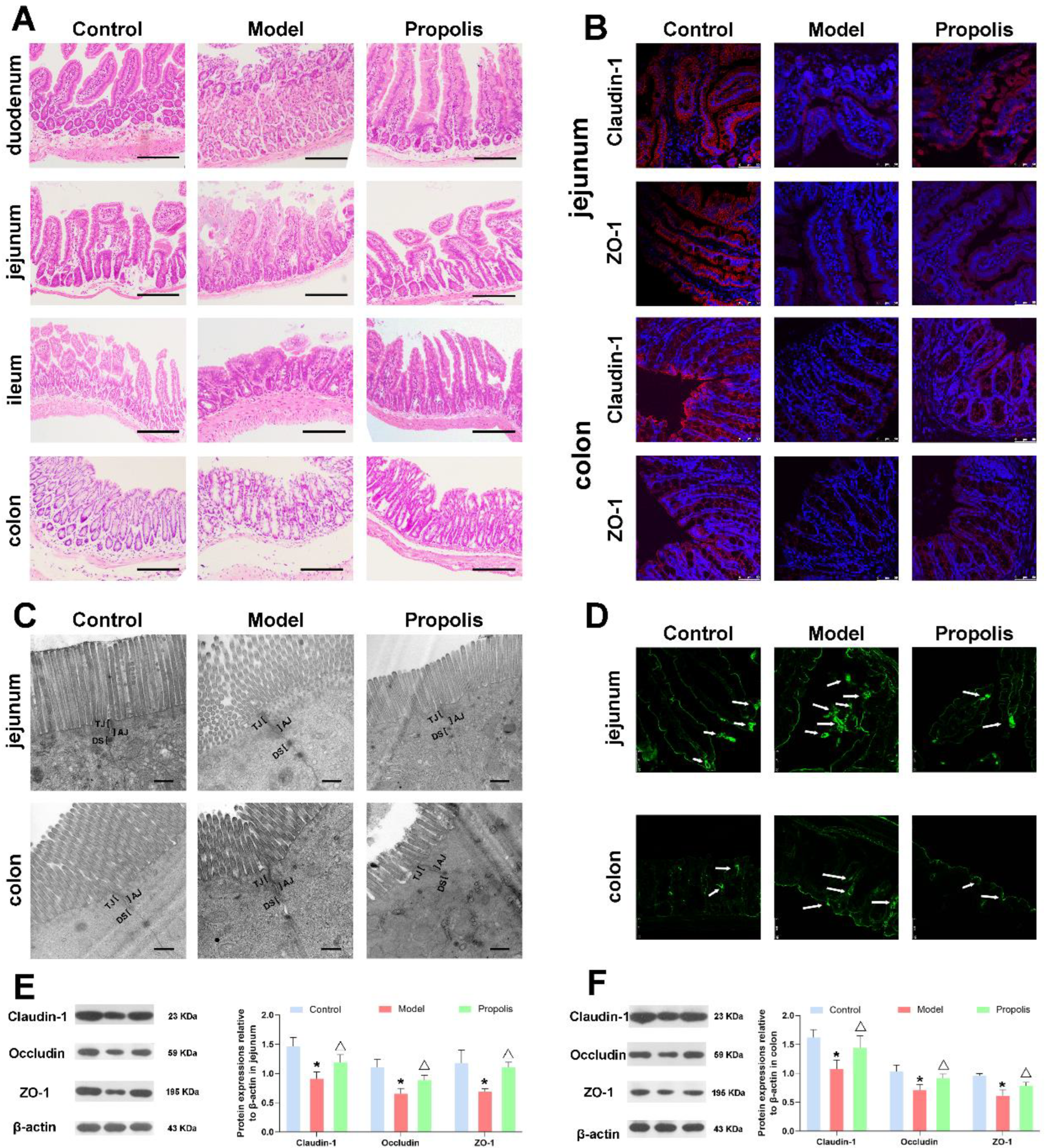Nutrients 14 01213 g004 550