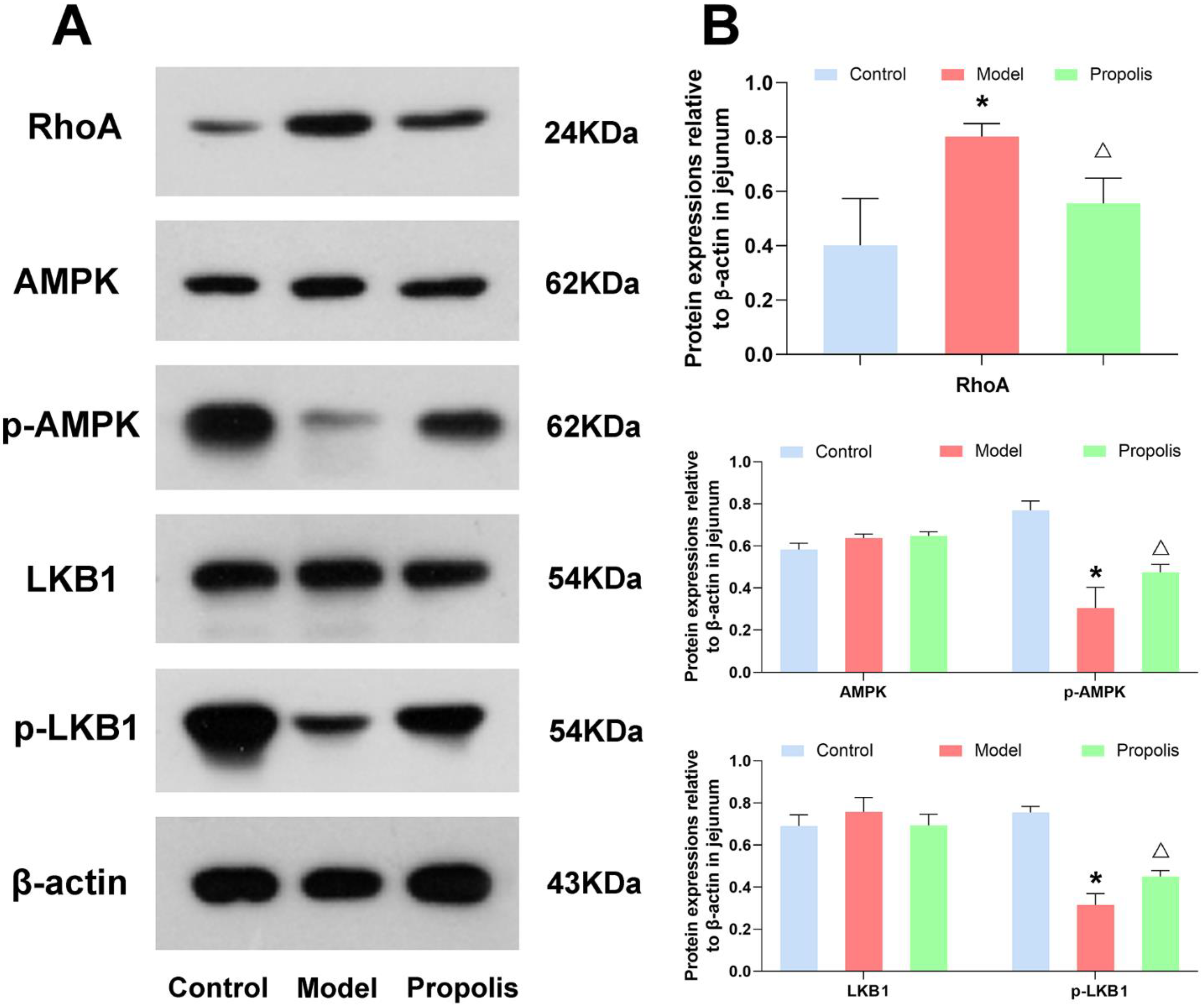 Nutrients 14 01213 g005 550