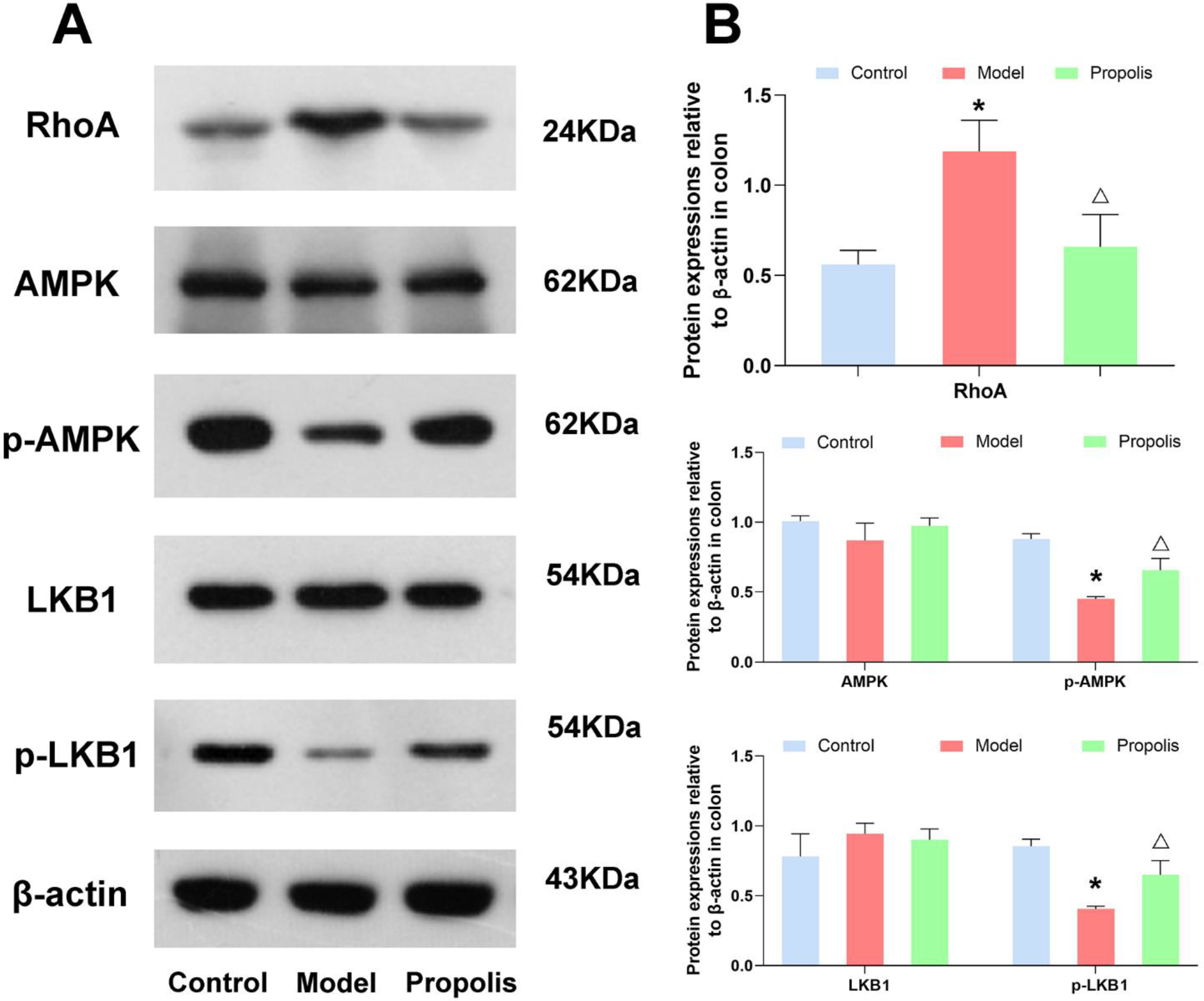 Nutrients 14 01213 g006 550