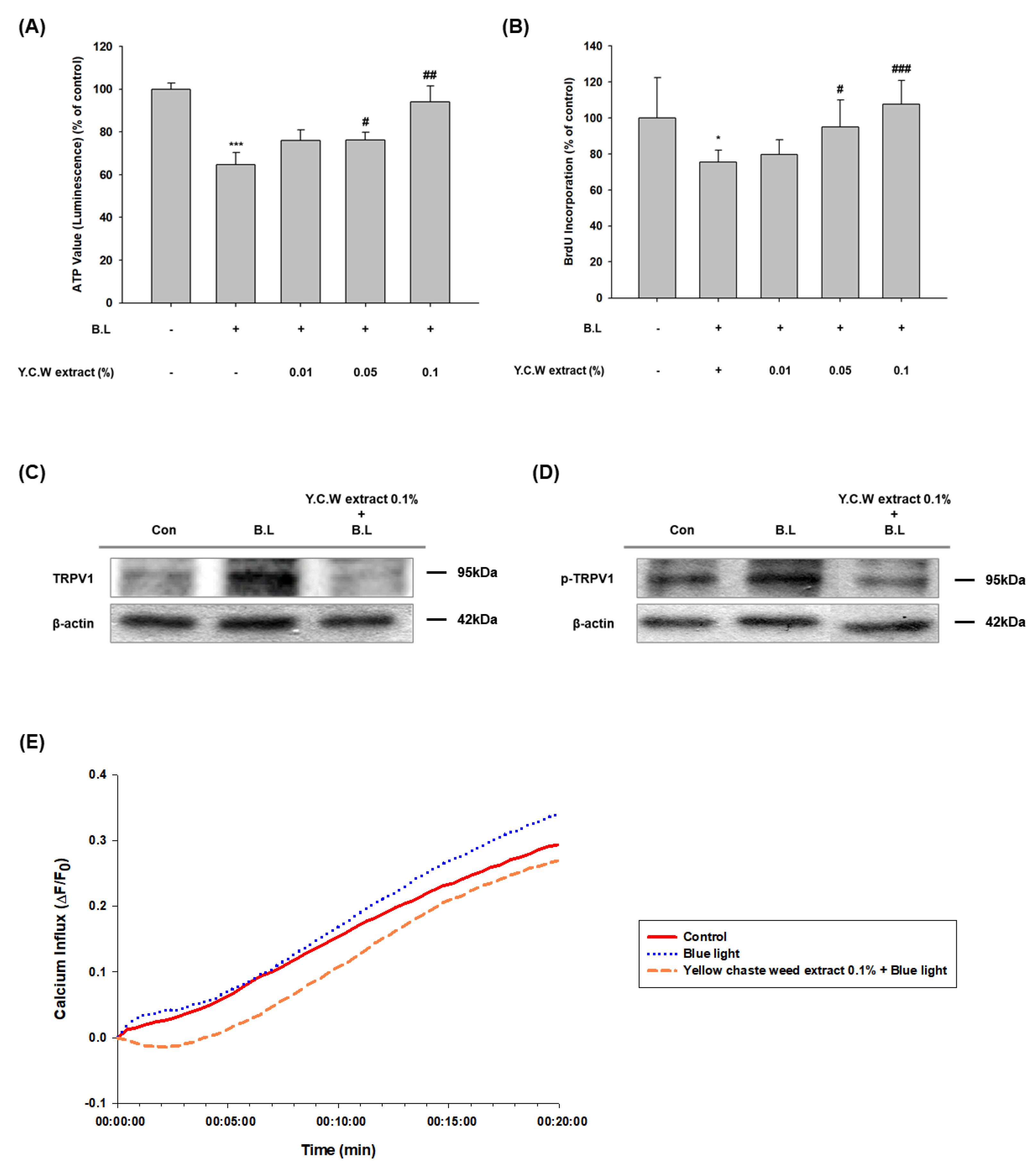 Nutrients 14 01217 g001