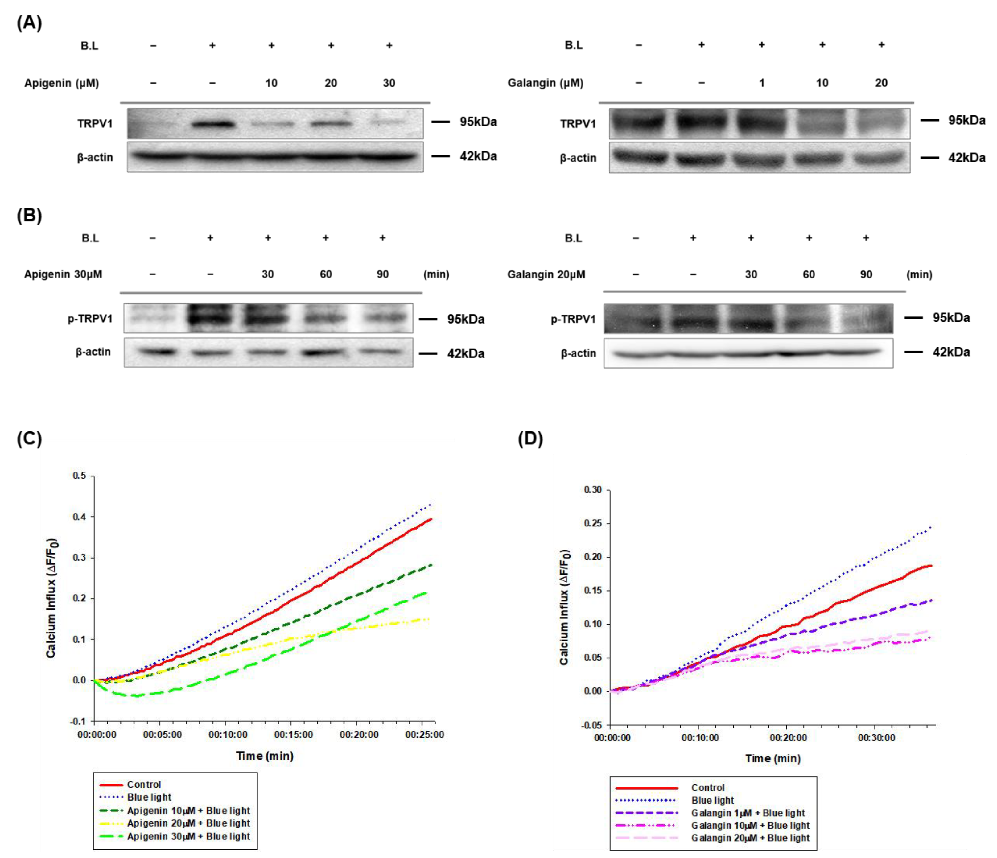 Nutrients 14 01217 g003