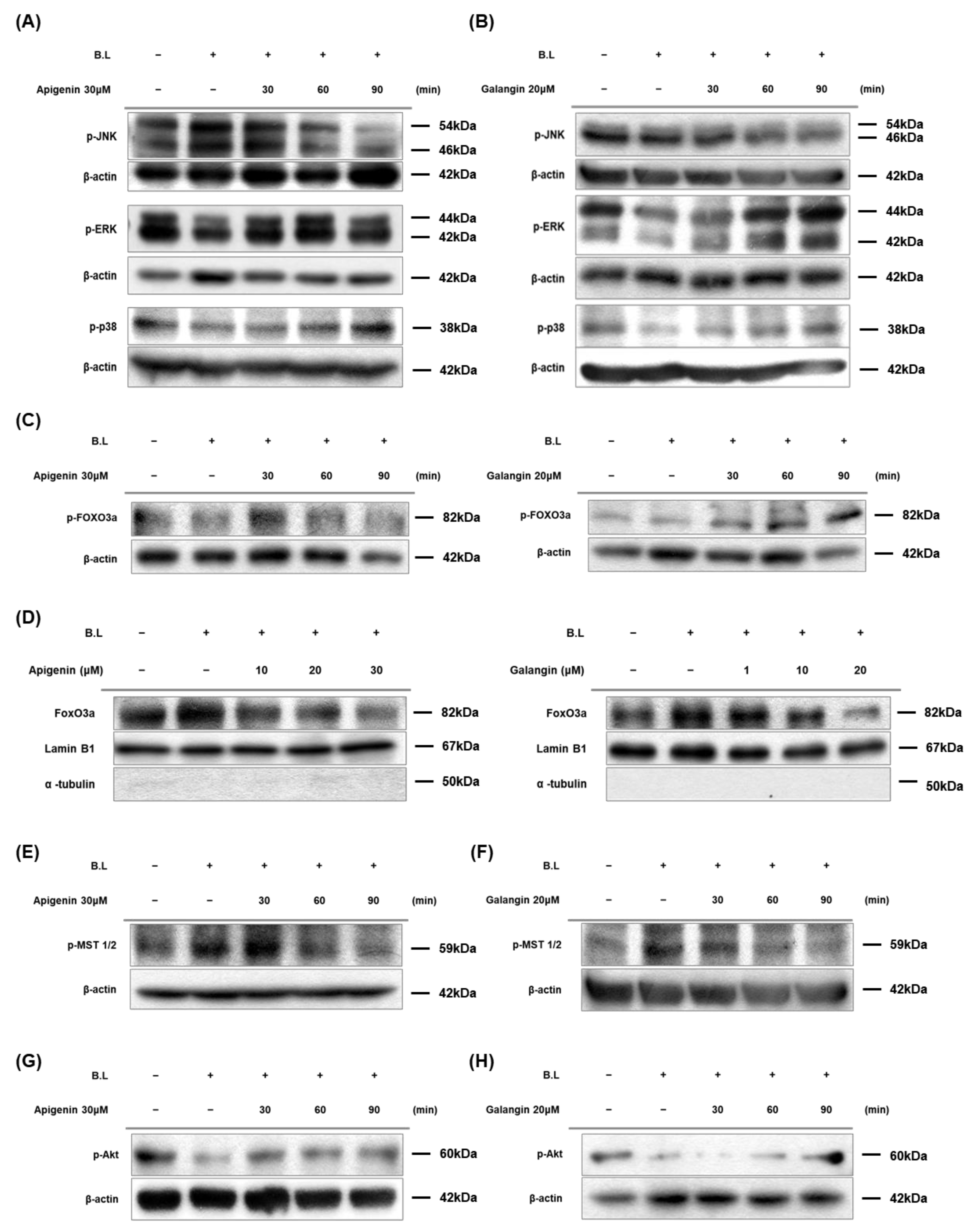 Nutrients 14 01217 g005