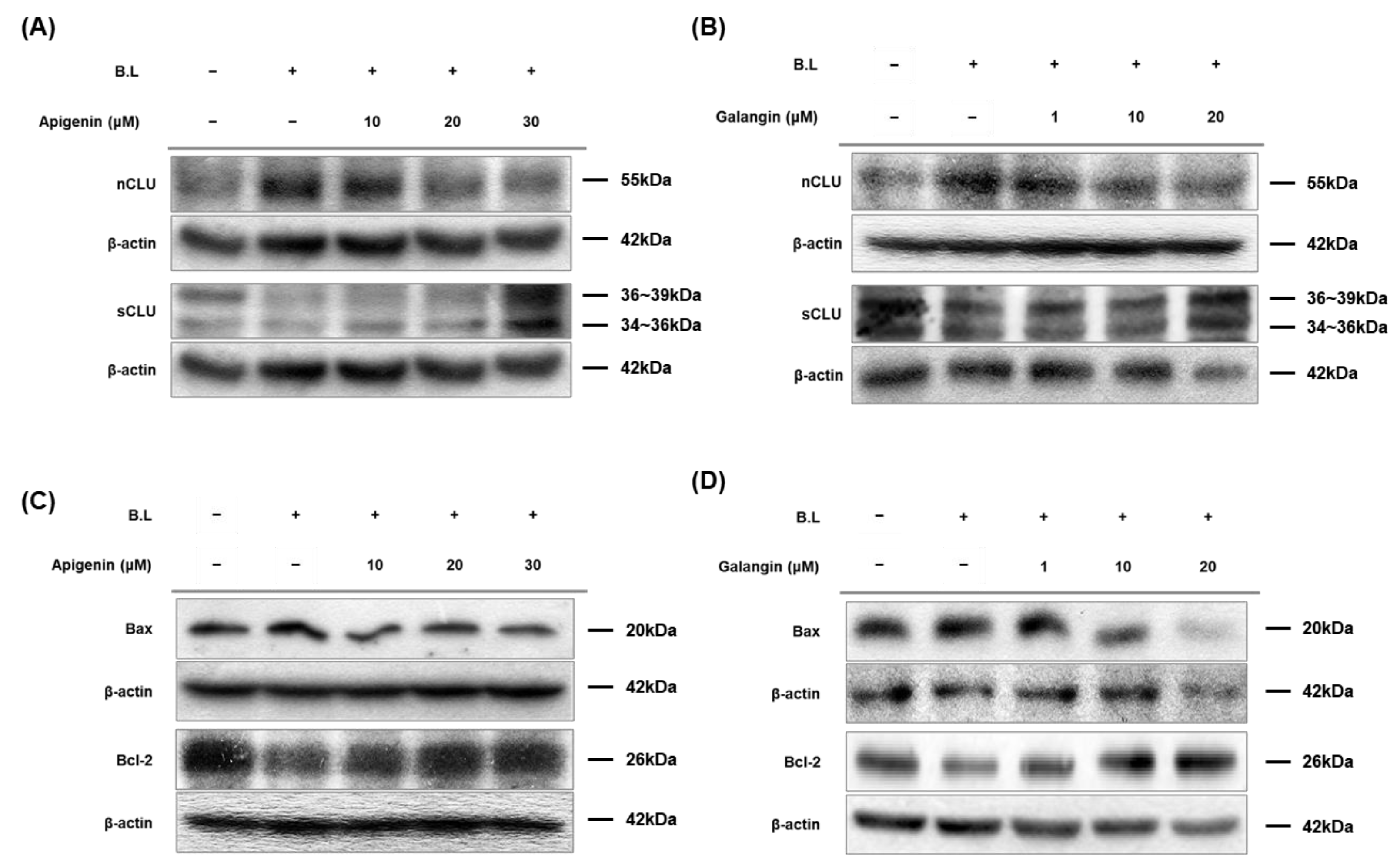 Nutrients 14 01217 g006