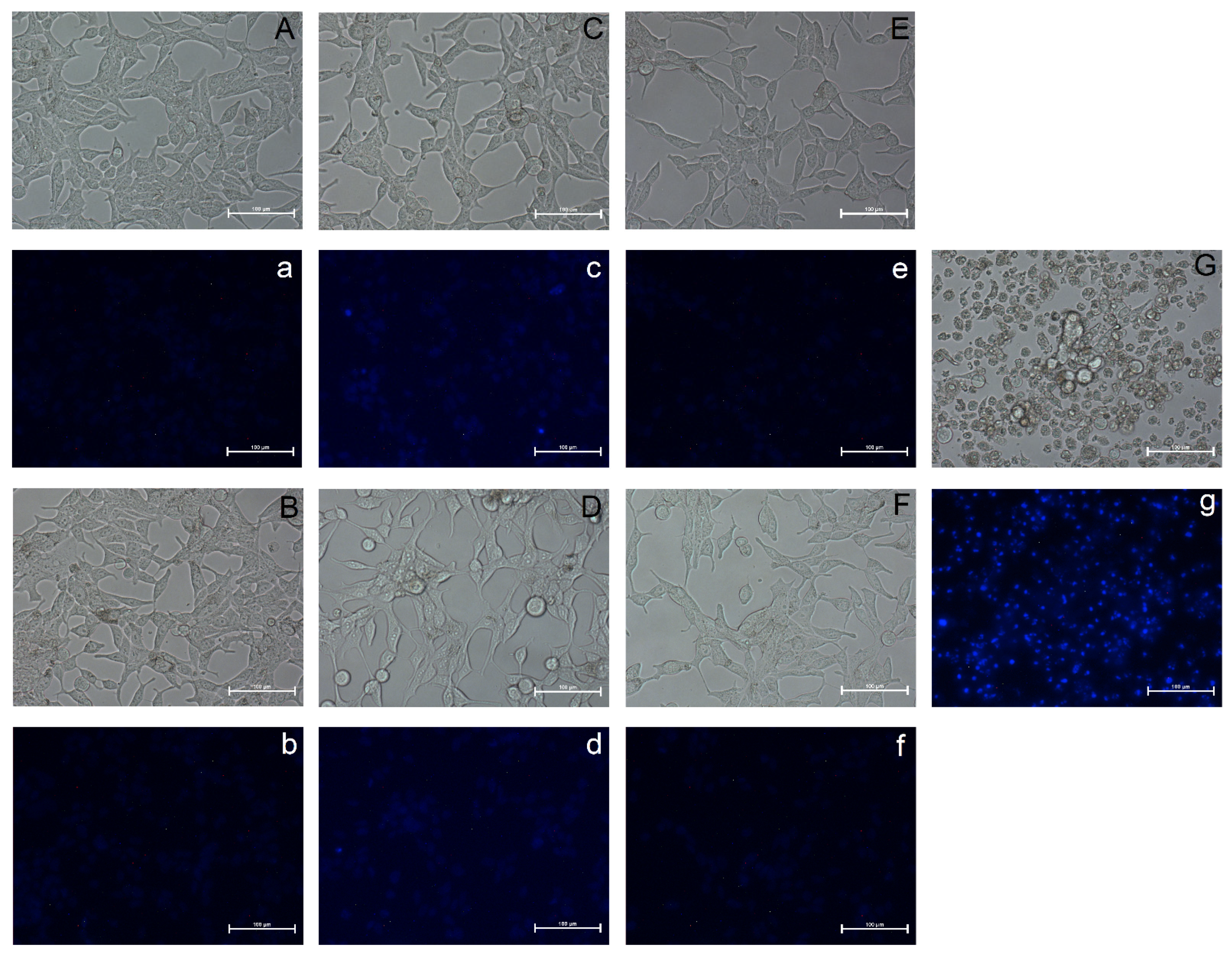 Nutrients 14 01225 g002