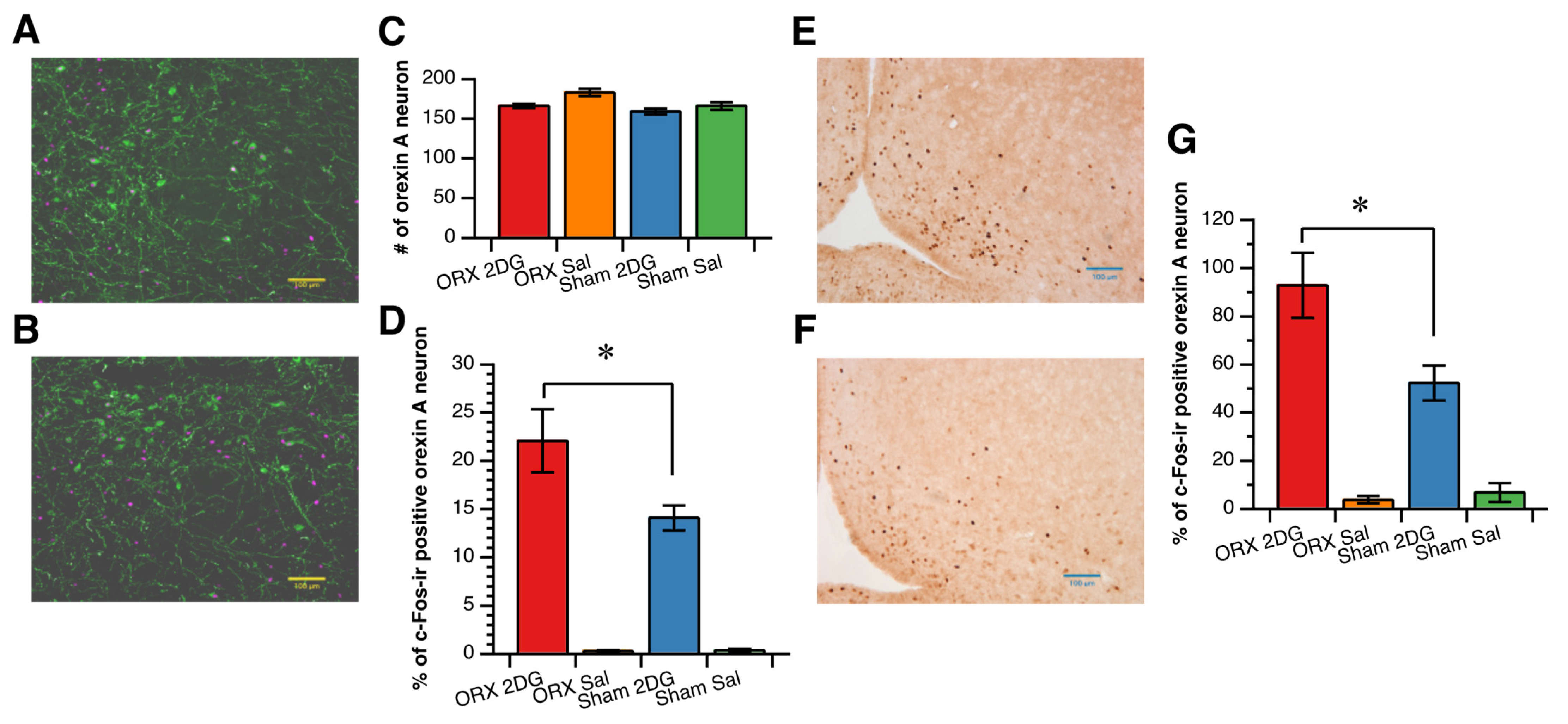Nutrients 14 01235 g003