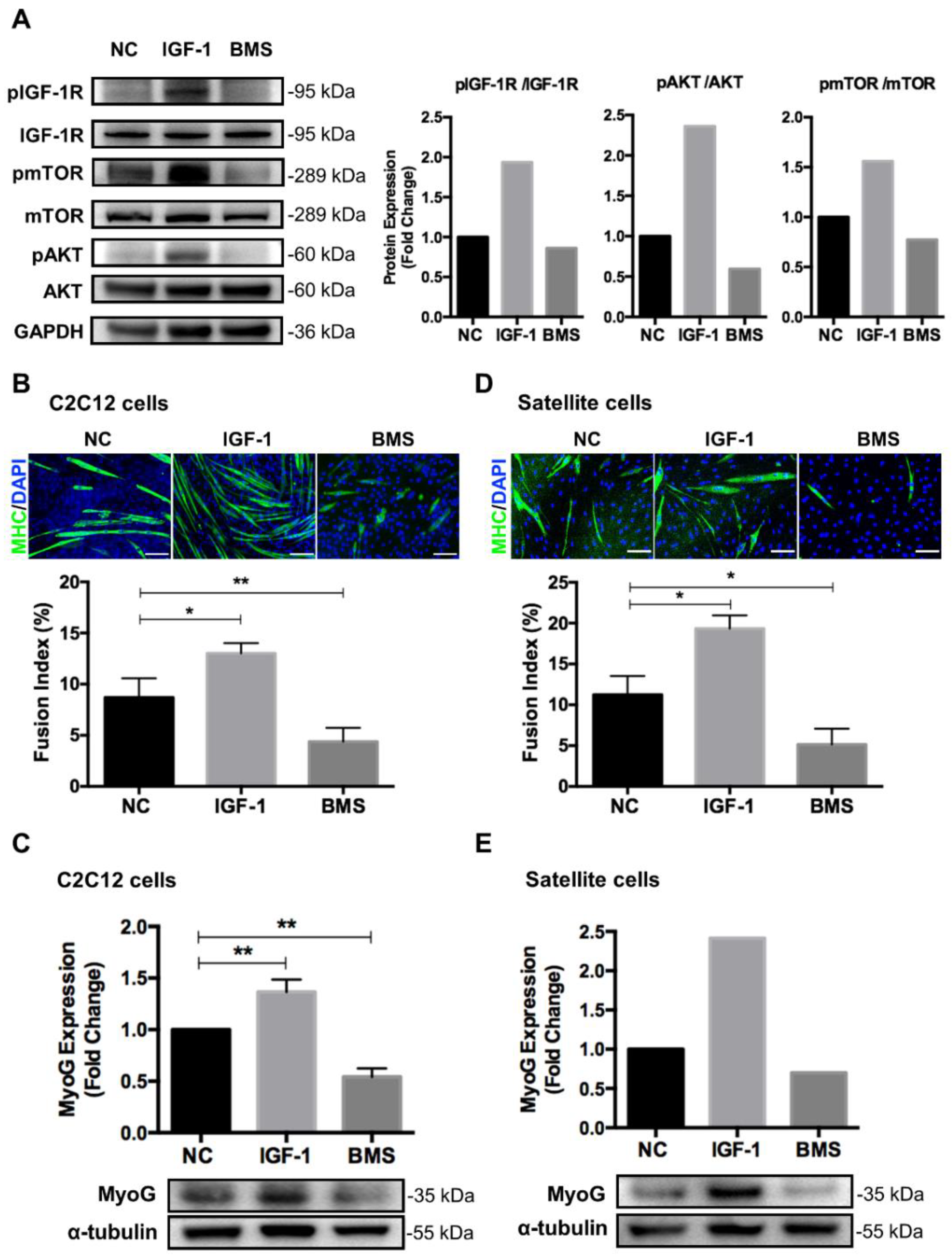 Nutrients 14 01249 g001 550