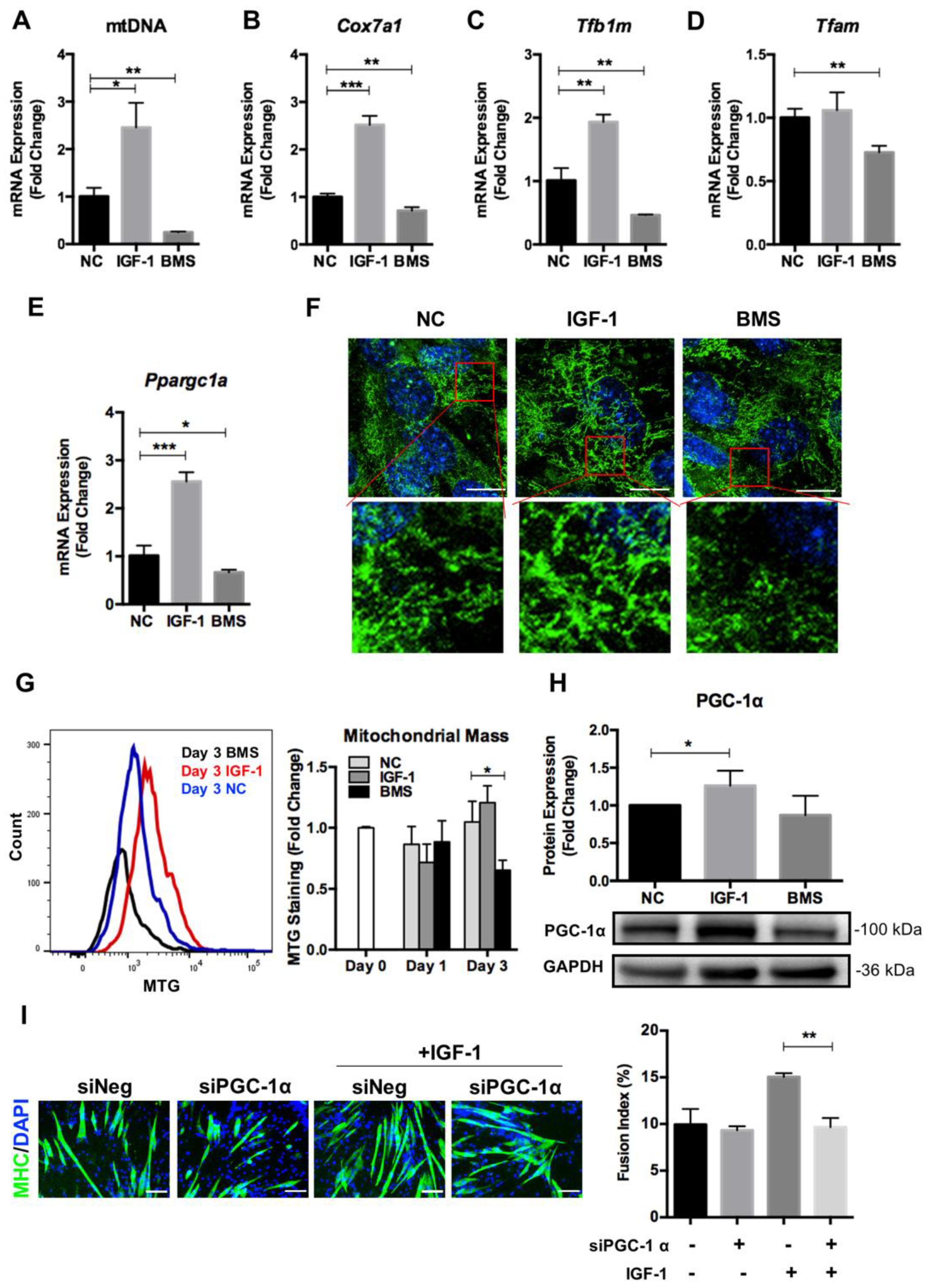 Nutrients 14 01249 g003 550