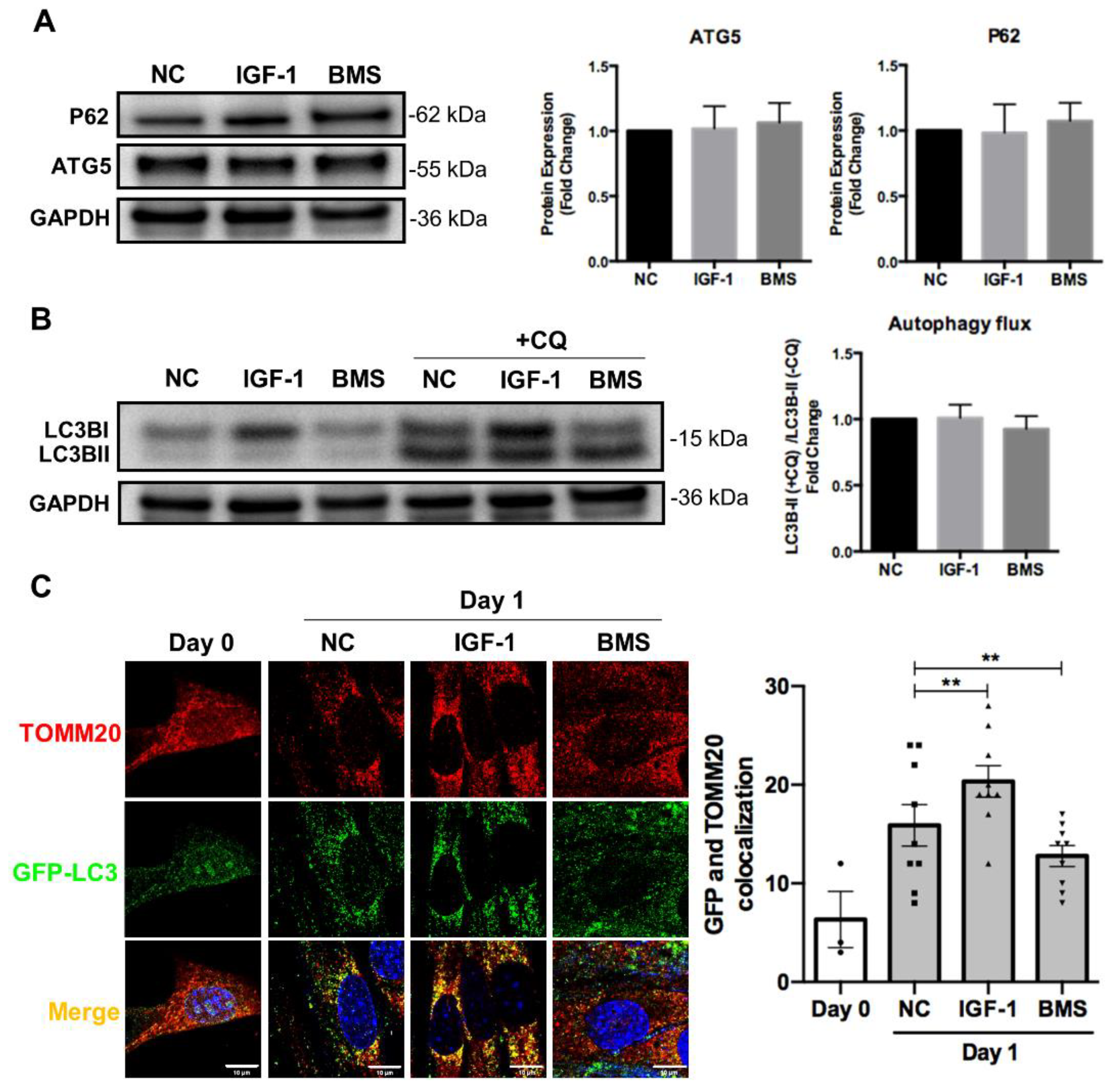 Nutrients 14 01249 g004a 550