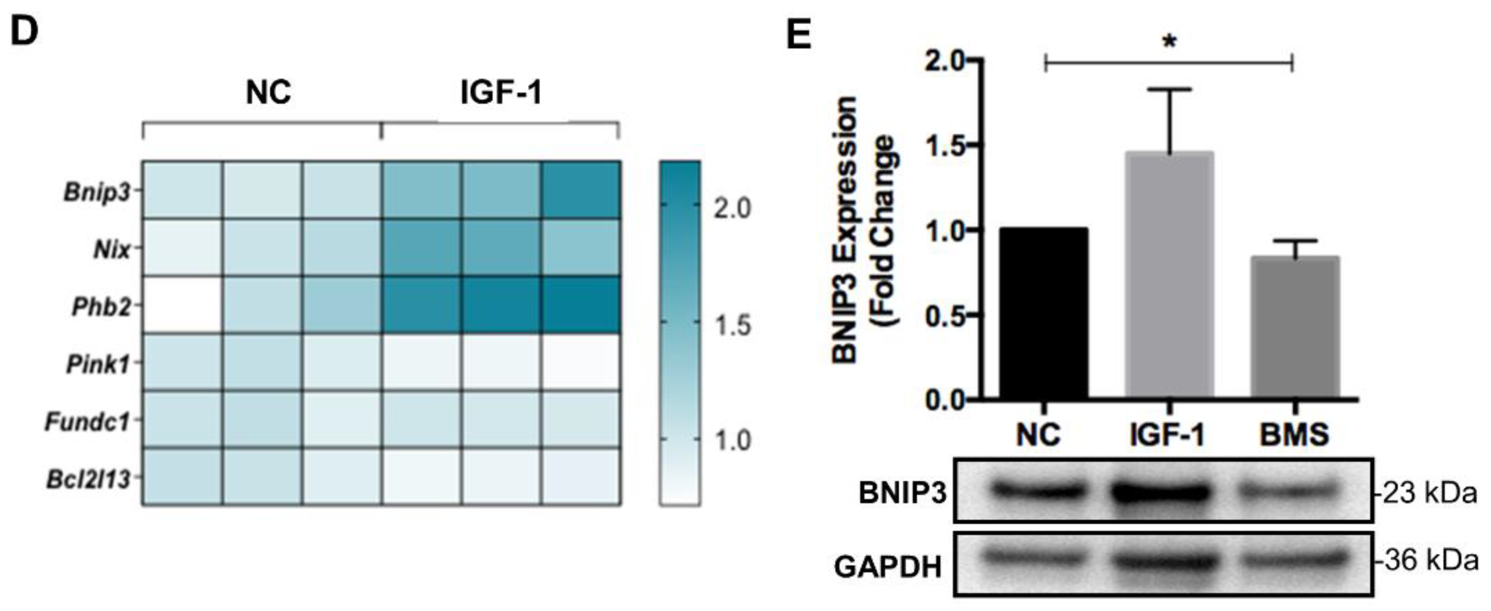 Nutrients 14 01249 g004b 550