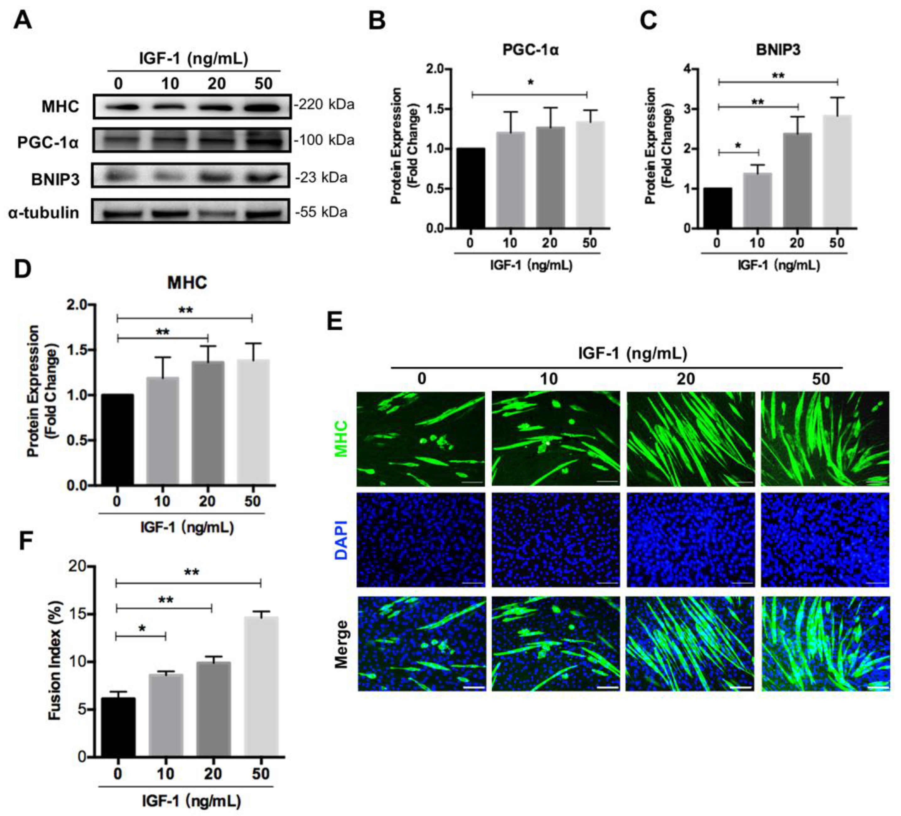 Nutrients 14 01249 g005 550