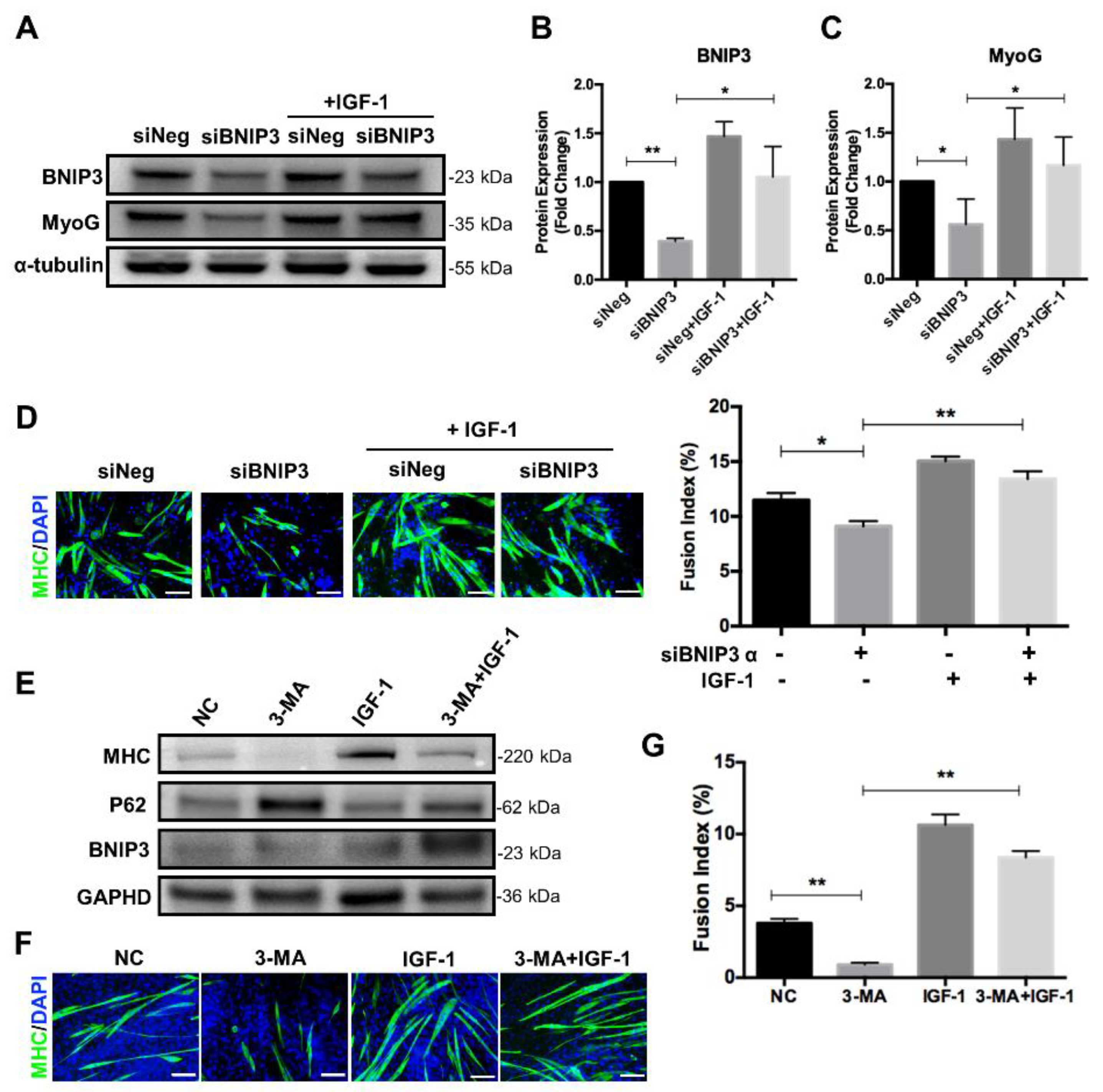 Nutrients 14 01249 g006 550