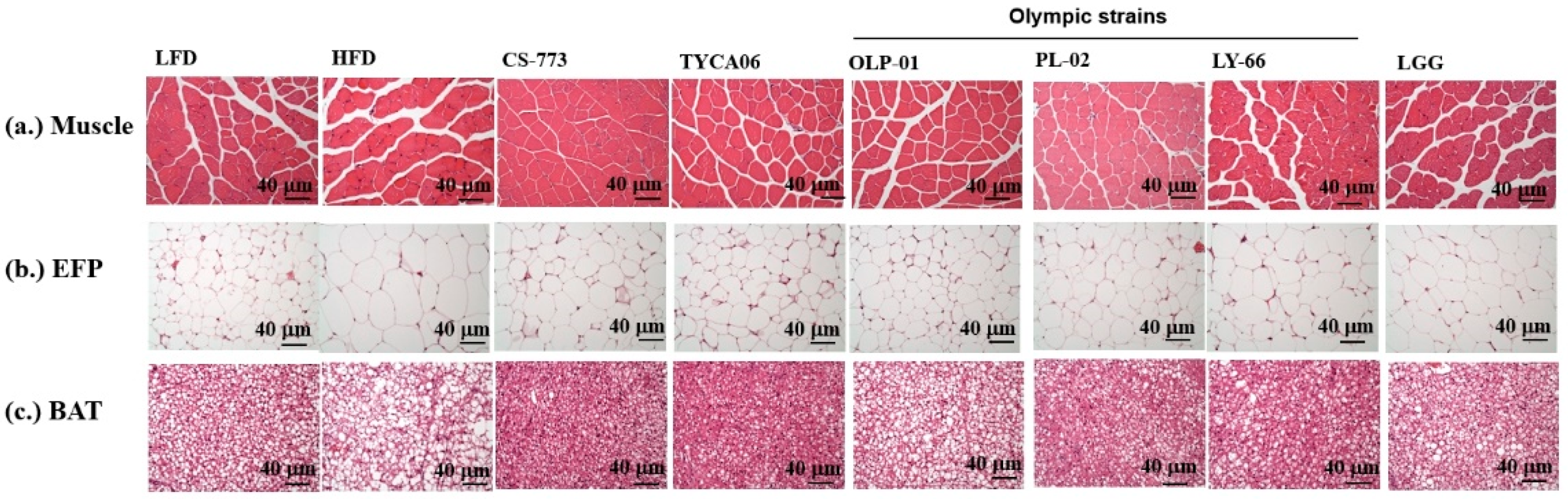 Nutrients 14 01270 g002