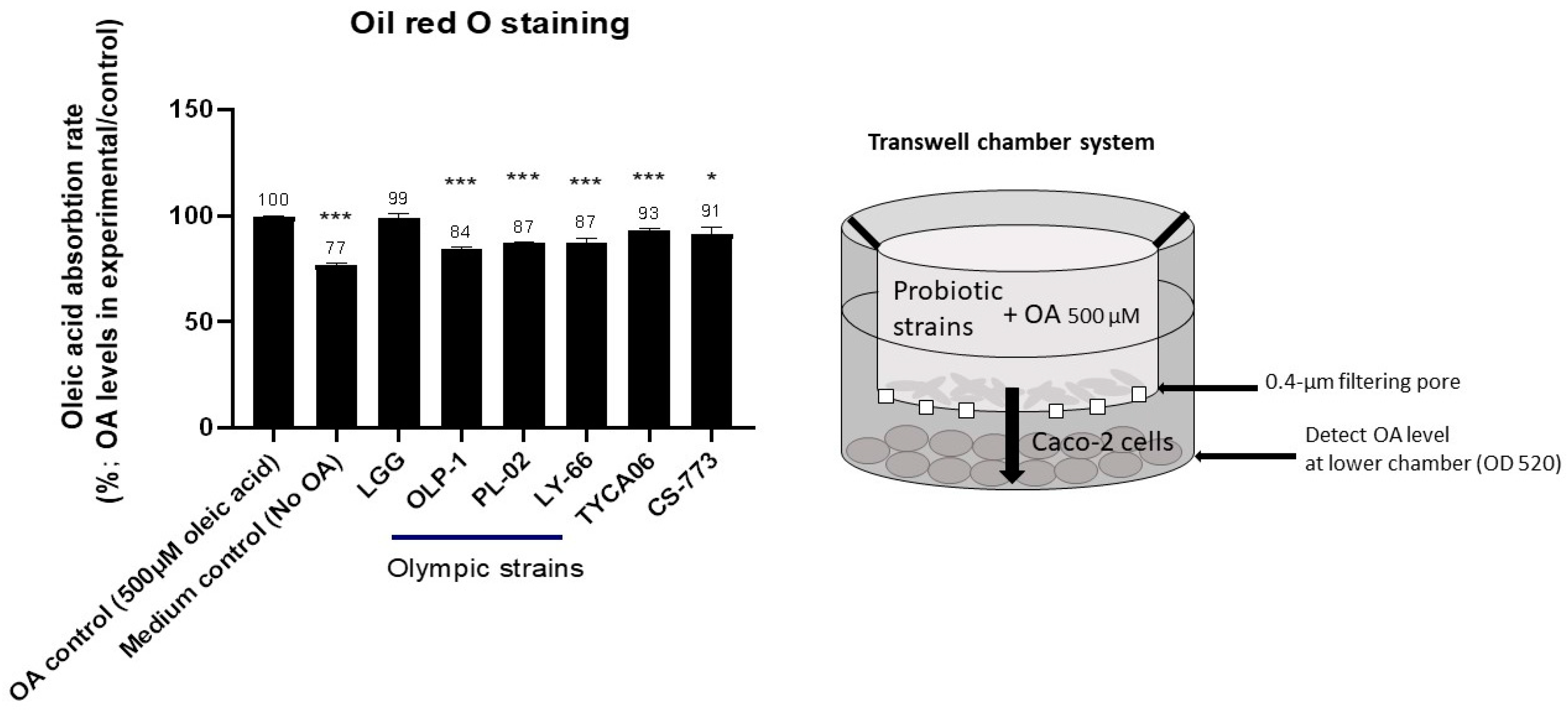 Nutrients 14 01270 g003