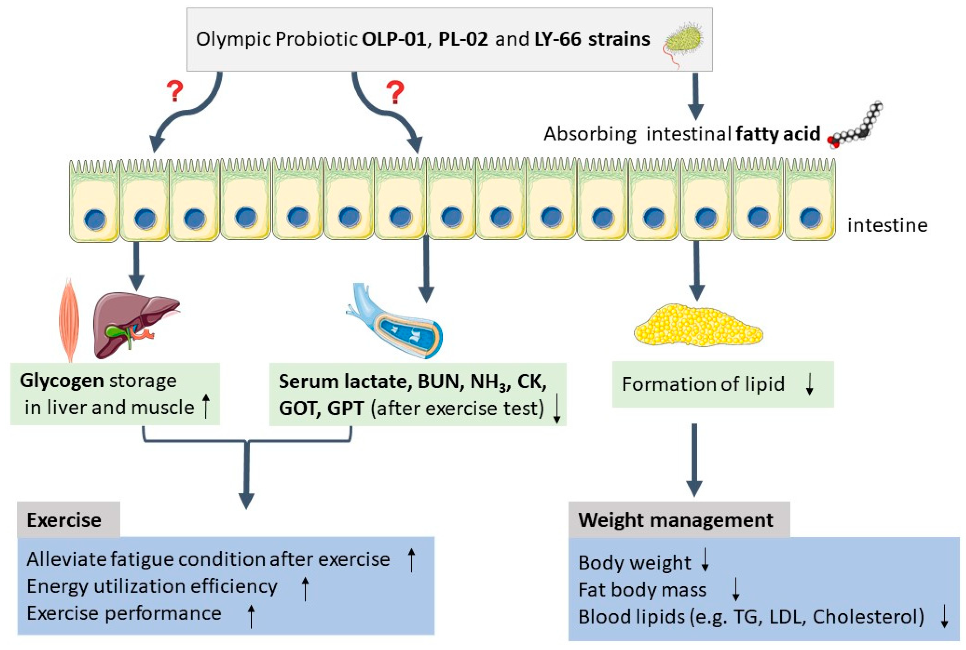 Nutrients 14 01270 g005